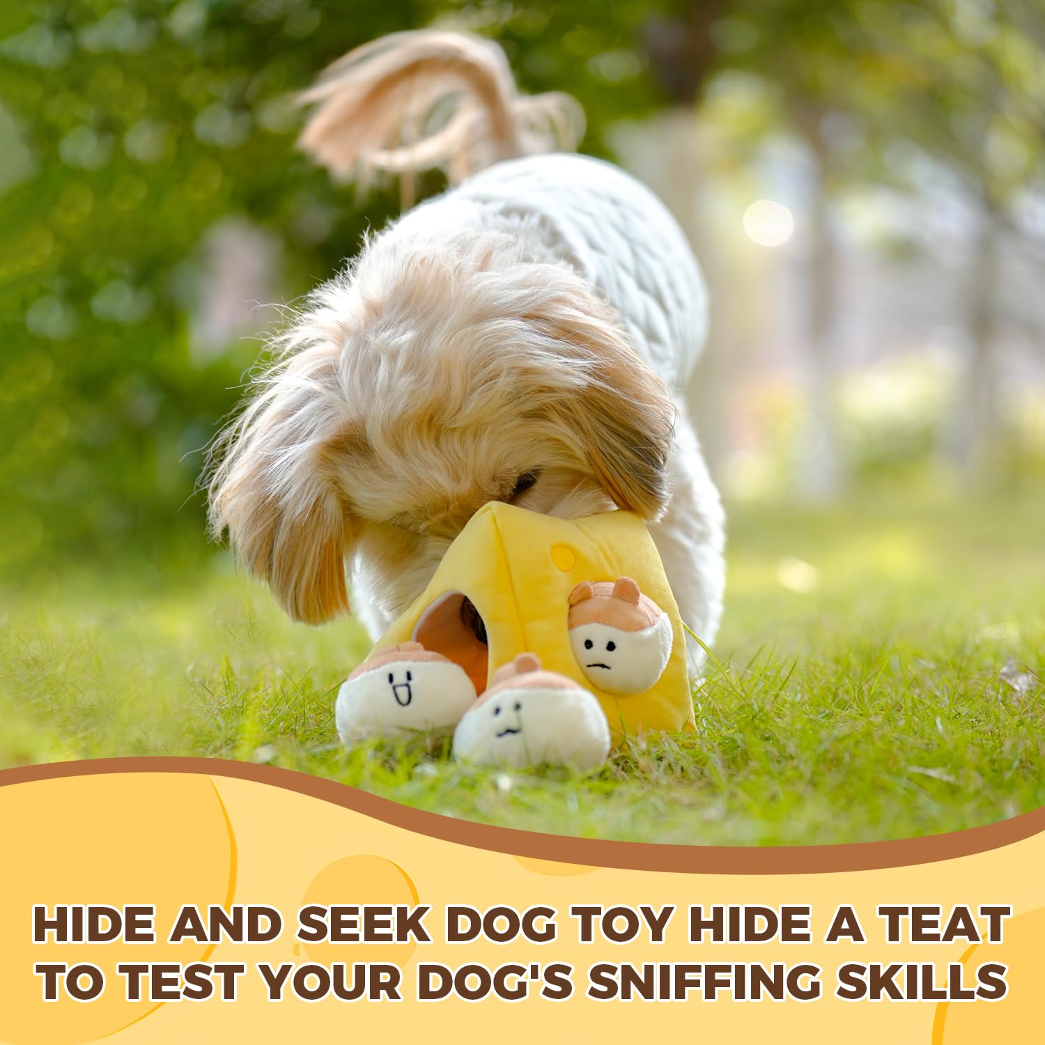Hide And Seek Plush Stuffed Dog Toys, Squeaky Chew Toys, Interactive Dog Plush Toys Perfect For Puppy, Small, Medium And Large D