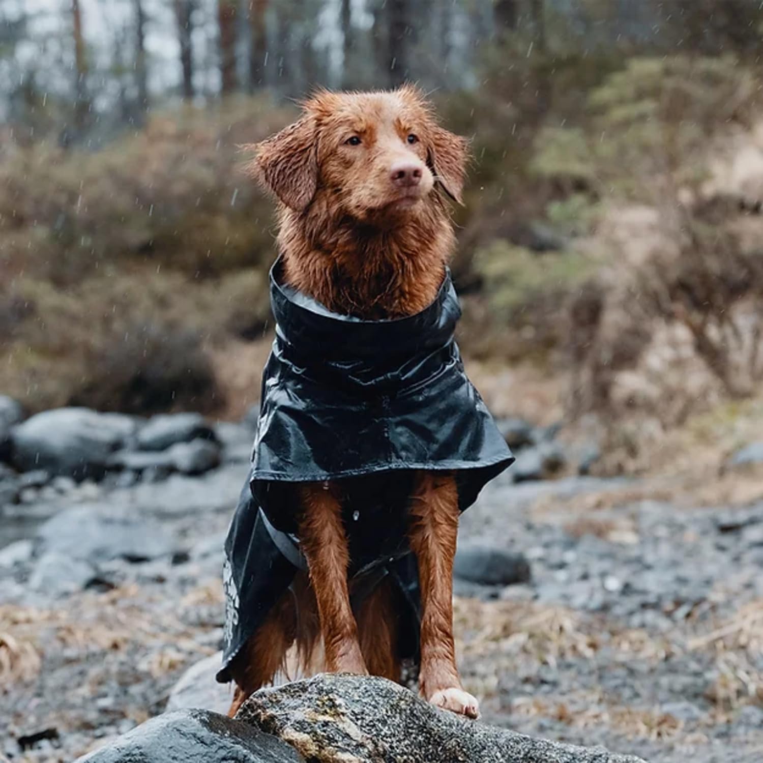 Hurtta Monsoon Coat, Dog Raincoat, Blackberry, 24 In