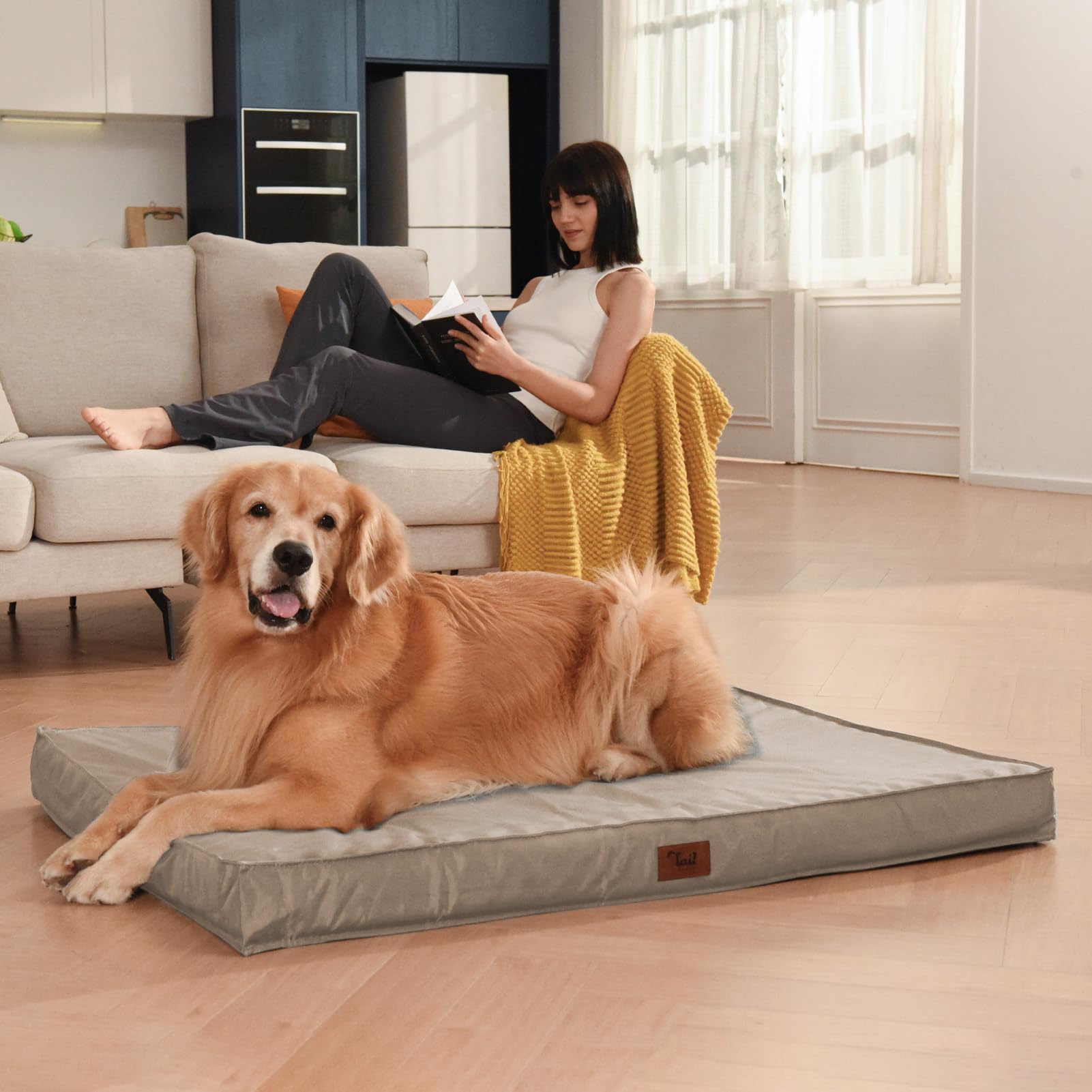 Tail Stories Orthopedic Dog Bed, Waterproof Oxford, Large 36"x27"x3", Khaki, Removable Cover, Egg Crate Foam