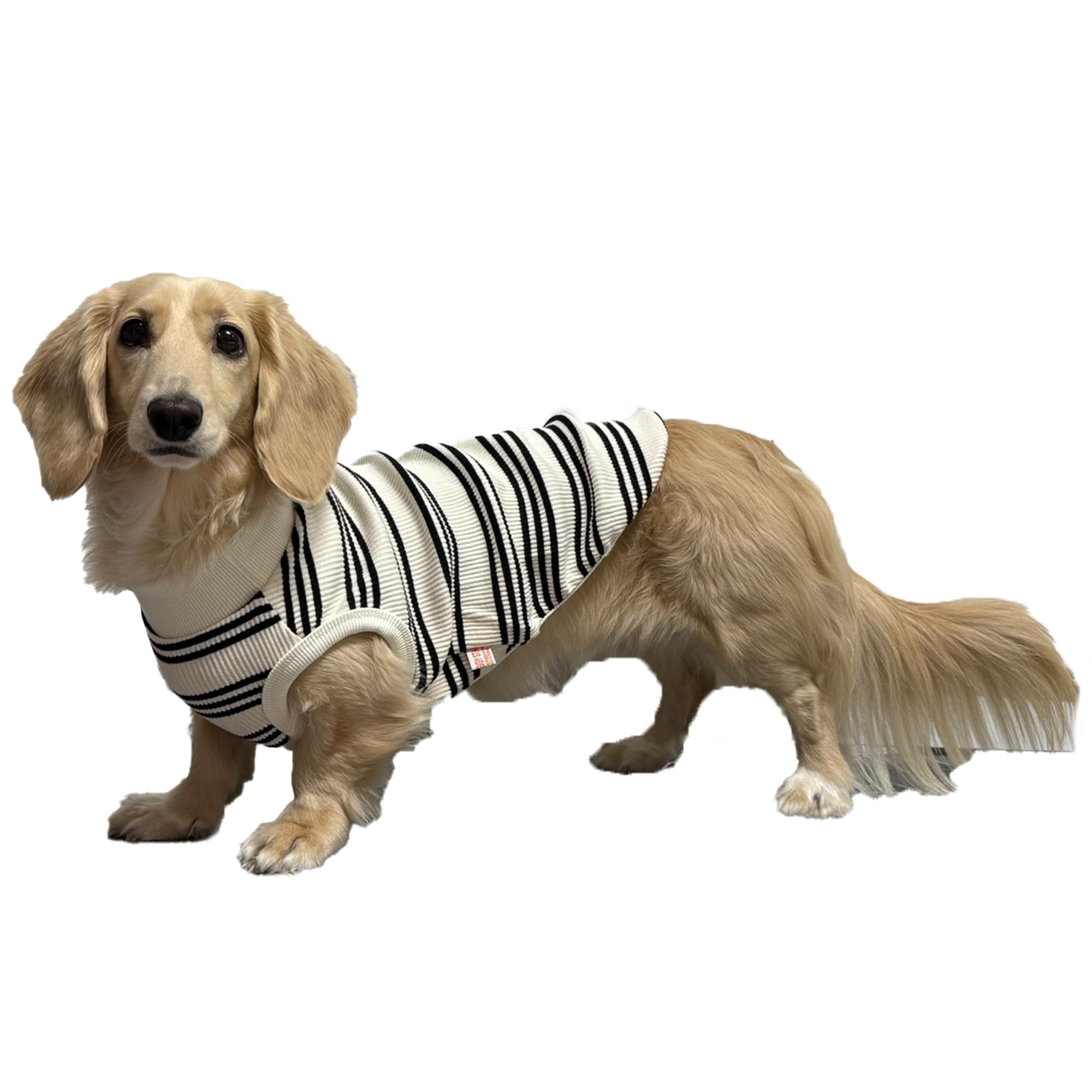 D Doggy Star Dachshund Clothes For Dogs Mini And Adults T Shirts (Xs,Black Stripe)