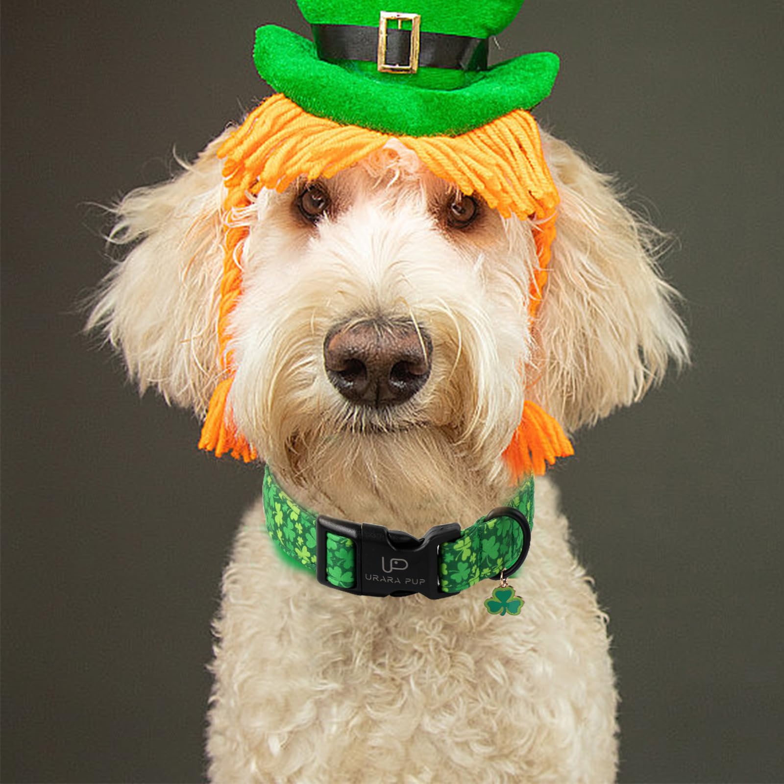 Up Urara Pup St. Patrick'S Dog Collar, Lucky Clover Pet Collar With Quick Release, Comfortable Adjustable Shamrock Puppy Collar