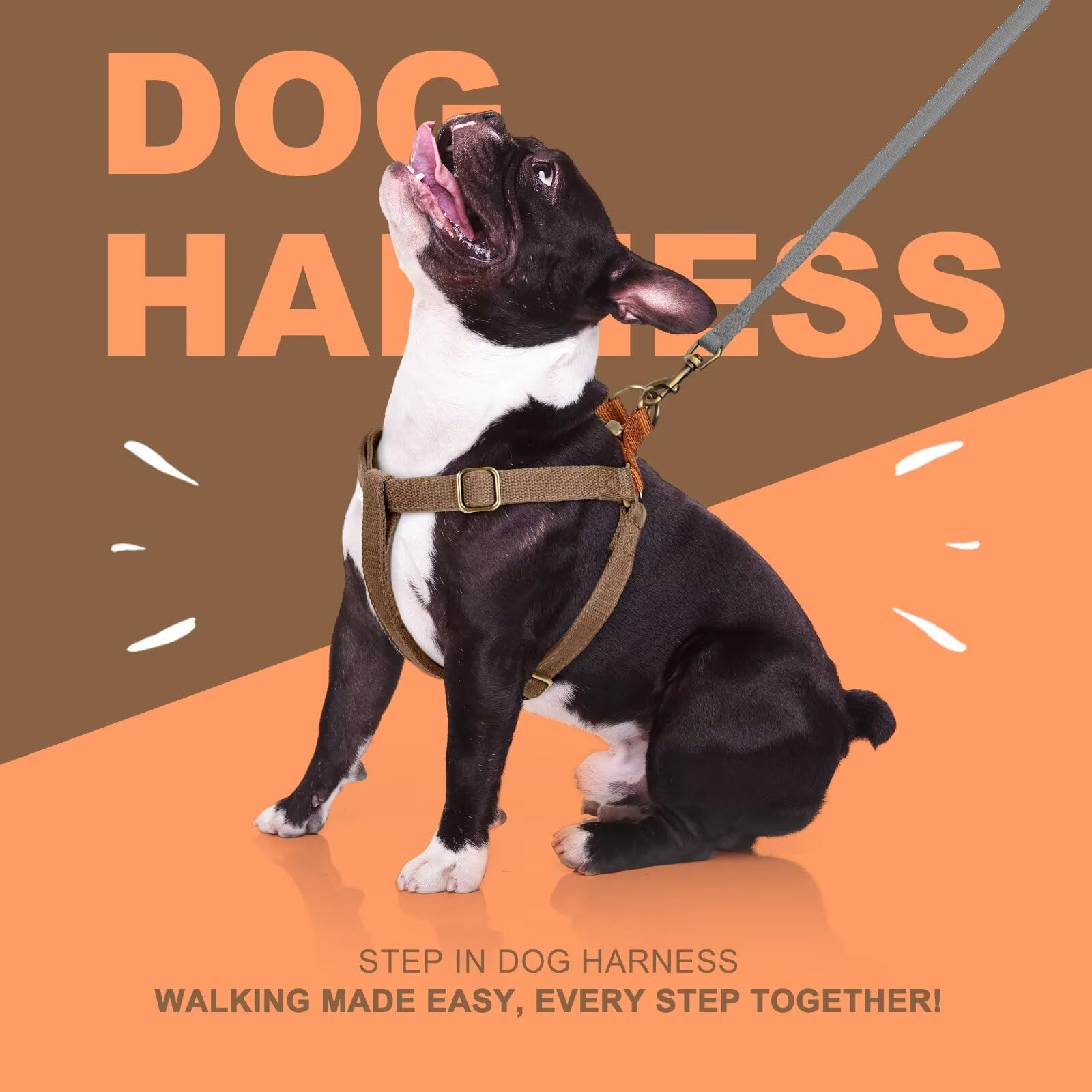 Didog Step In Dog Harness With Metal Buckles, Freedom Nylon Dog Halter Vests For Small Dogs Easy Walking Training(S:Chest 13-22'