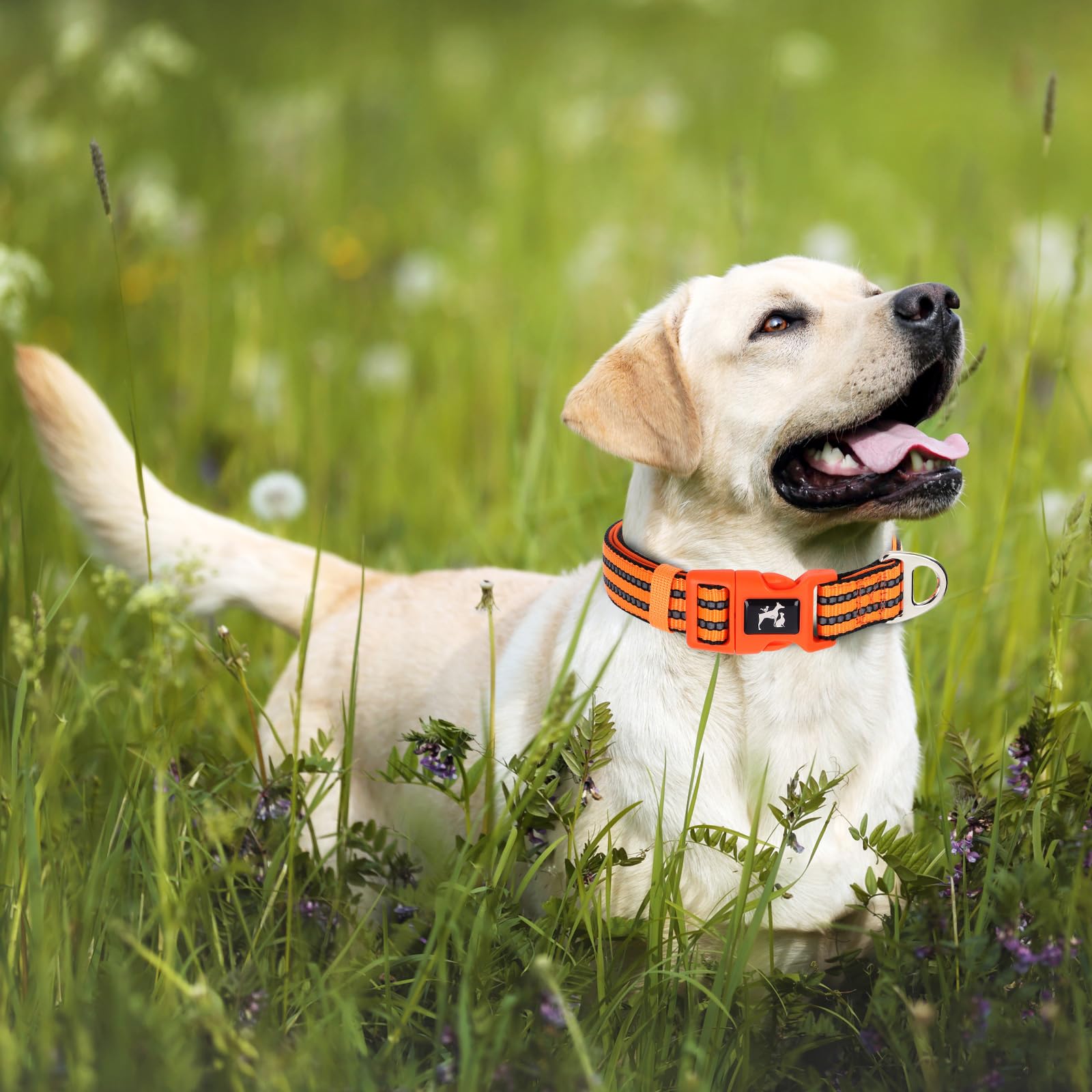 Onefojojo Extra Large Reflective Dog Collar,Adjustable Soft Neoprene Breathable Quick Release Basic Dog Collars For Medium Large