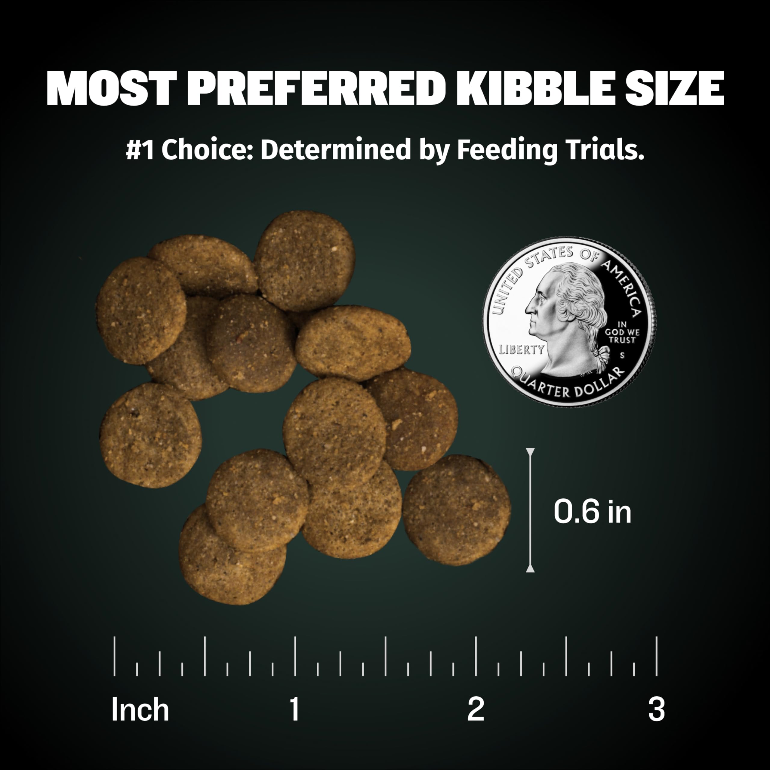 Bully Max Puppy Food 24/14 High Protein & Growth Formula - Dry Dog Food with Lamb and Rice for Small Dogs and Large Breed Puppie