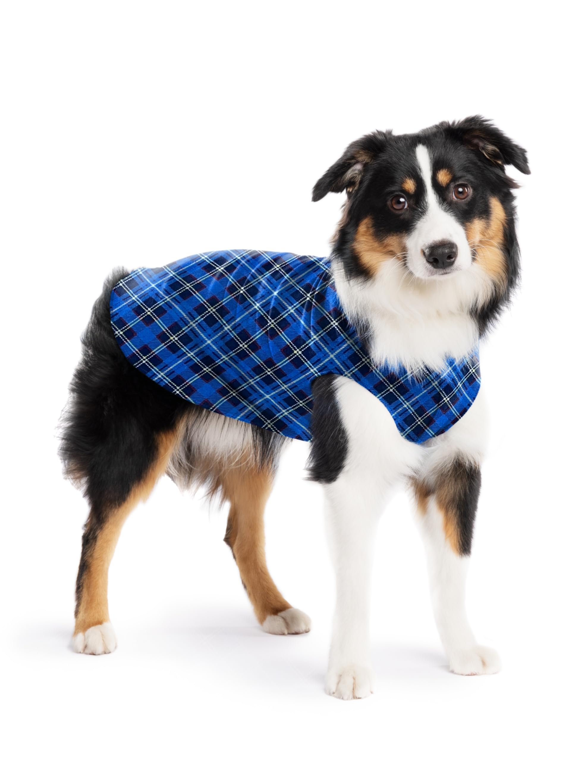 Gold Paw Stretch Fleece Dog Coat, Stretchy Pet Sweater, Machine Washable Pullover For Winter And Fall, Blue Plaid, 14