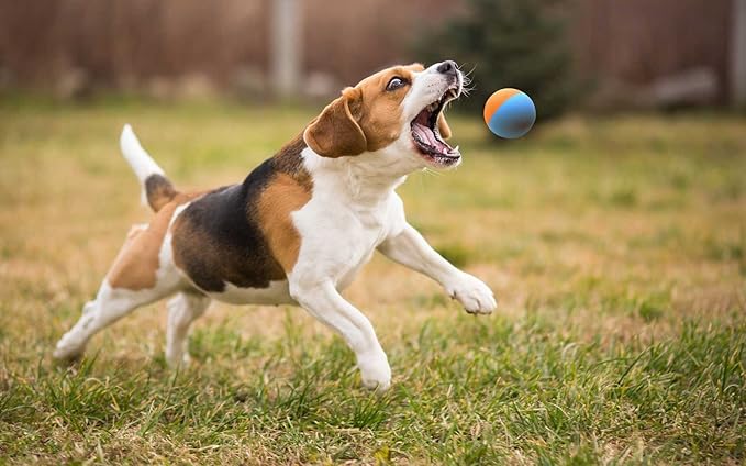 Snug Rubber Dog Balls - Virtually Indestructible - Tennis Ball Size (2.5 Inch) - 3 Pack for Small & Medium Dogs - Original