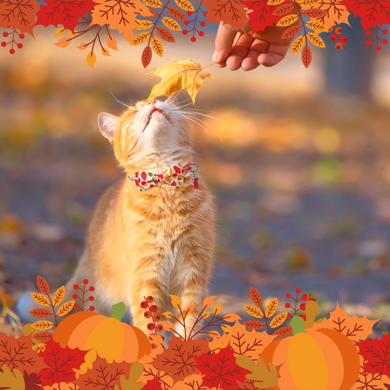 Scenereal Fall Cat Collar Breakaway With Bell And Bowtie, 2 Pack Cute Holiday Cat Collars, Adjustable Kitten Collar, Safety Buck