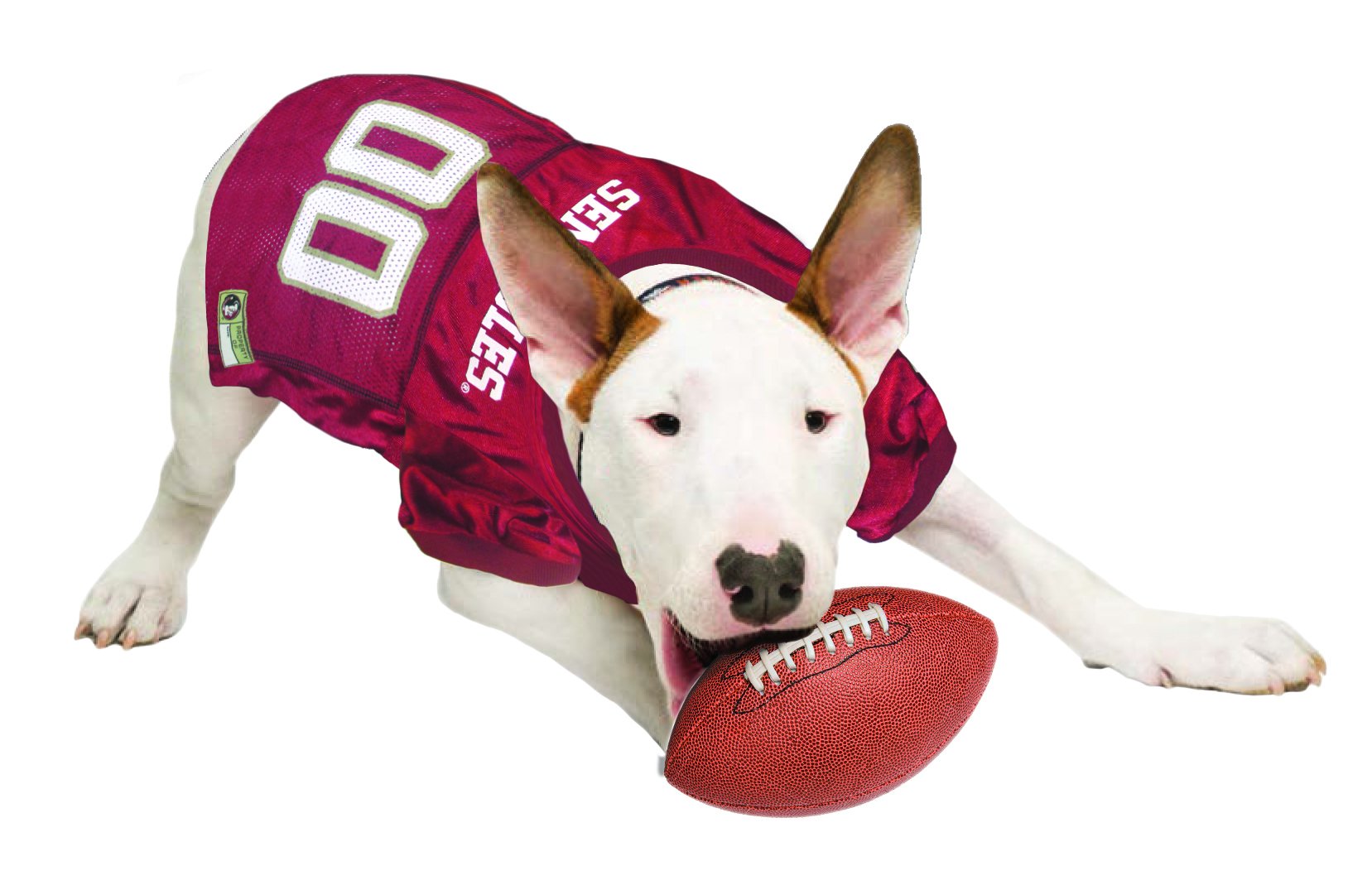 Pets First NCAA College Florida State Seminoles Mesh Jersey for DOGS & CATS, X-Large. Licensed Dog Jersey with your Favorite Foo