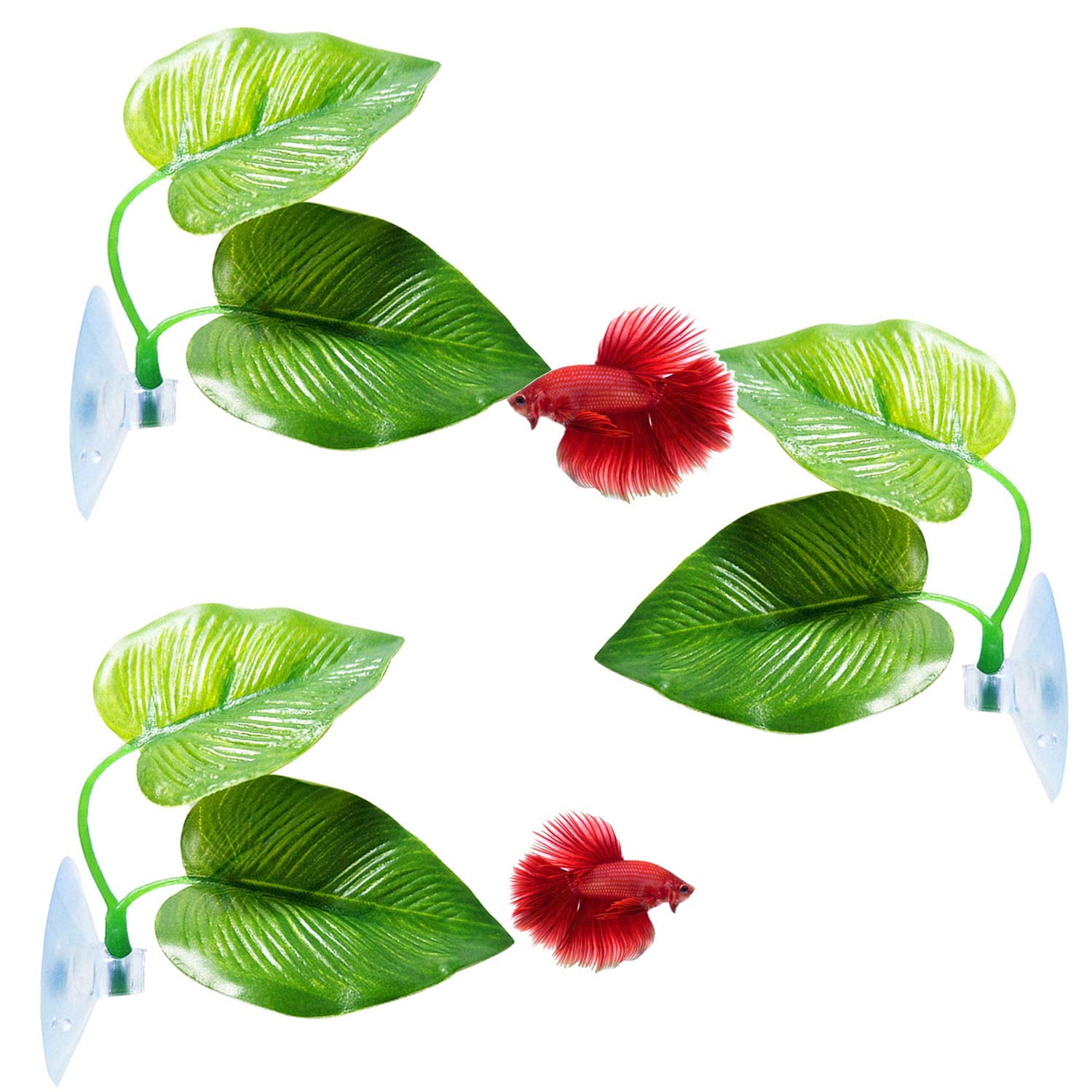 Cousduobe 3 Pack Betta Fish Leaf Pad Improves Betta'S Health By Simulating The Natural Habitat - Natural, Organic, Comfortable R