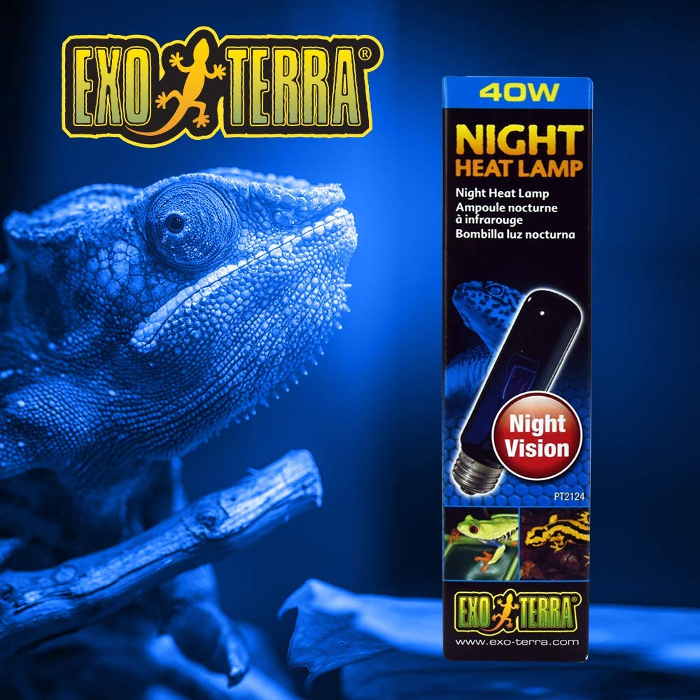 Exo Terra Night Heat Lamp, 40W