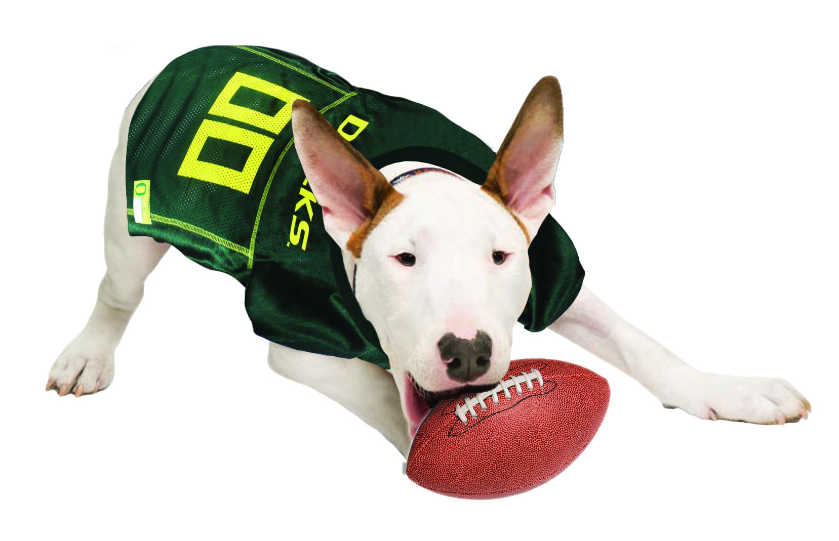Pets First NCAA College Oregon Ducks Mesh Jersey for DOGS & CATS, Medium. Licensed Dog Jersey with your Favorite Football/Basket