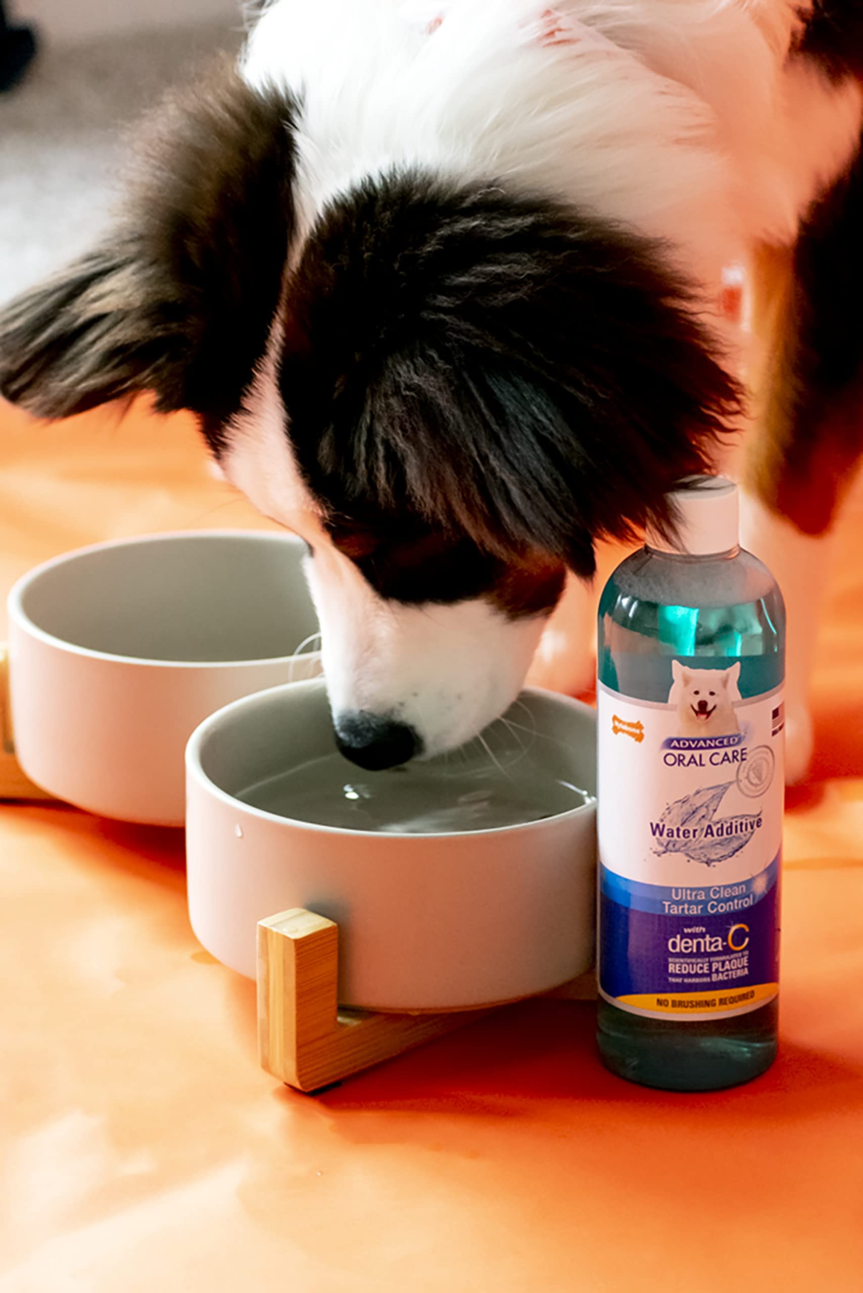Advanced Oral Care Liquid Tartar Remover