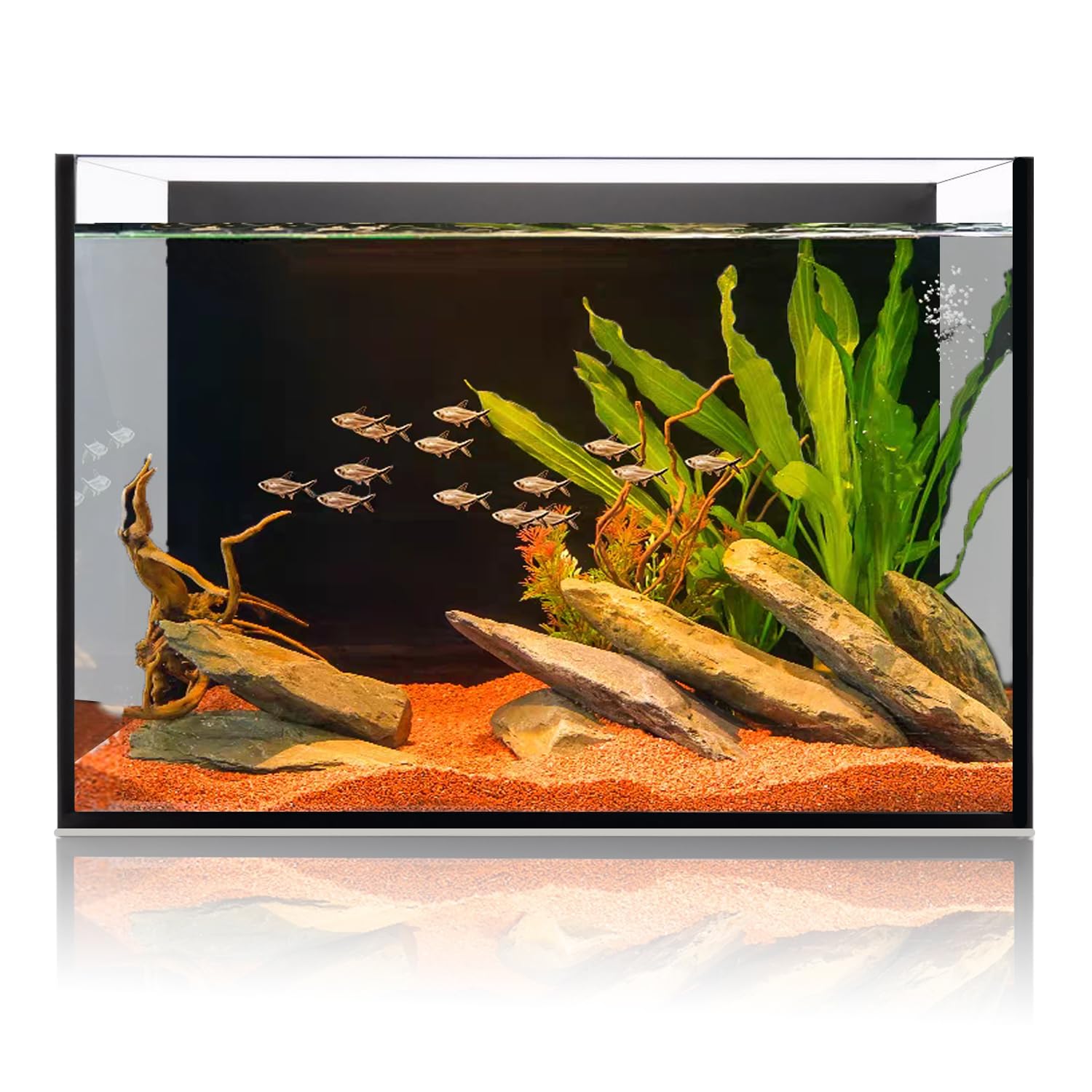 6 Gallon Glass Fish Tank 5 Gallon, Small Aquarium Fish Bowl Cube for Betta Goldfish Snails Shrimp Aquatic Planting, Easy to Main