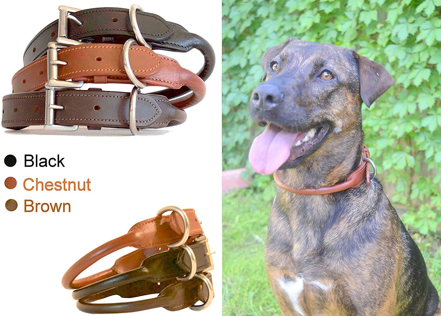 Sie Rolled Leather Dog Collars (10'', Black)