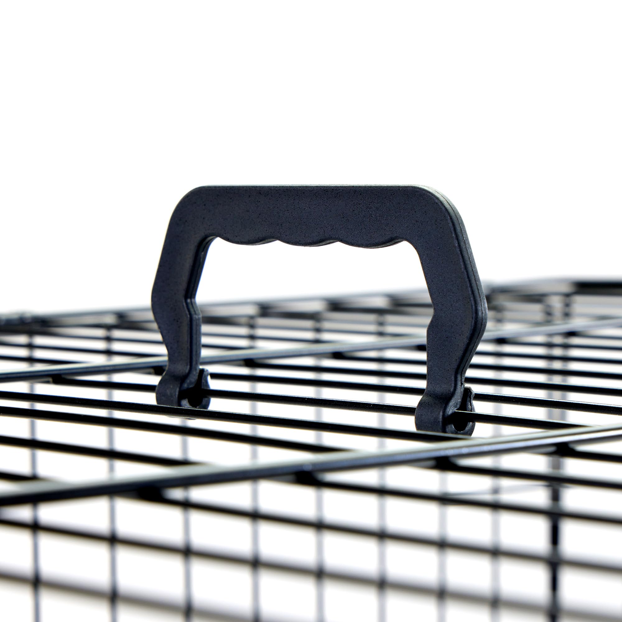 Carlson Pet Products Secure And Foldable Single Door Metal Dog Crate, Intermediate