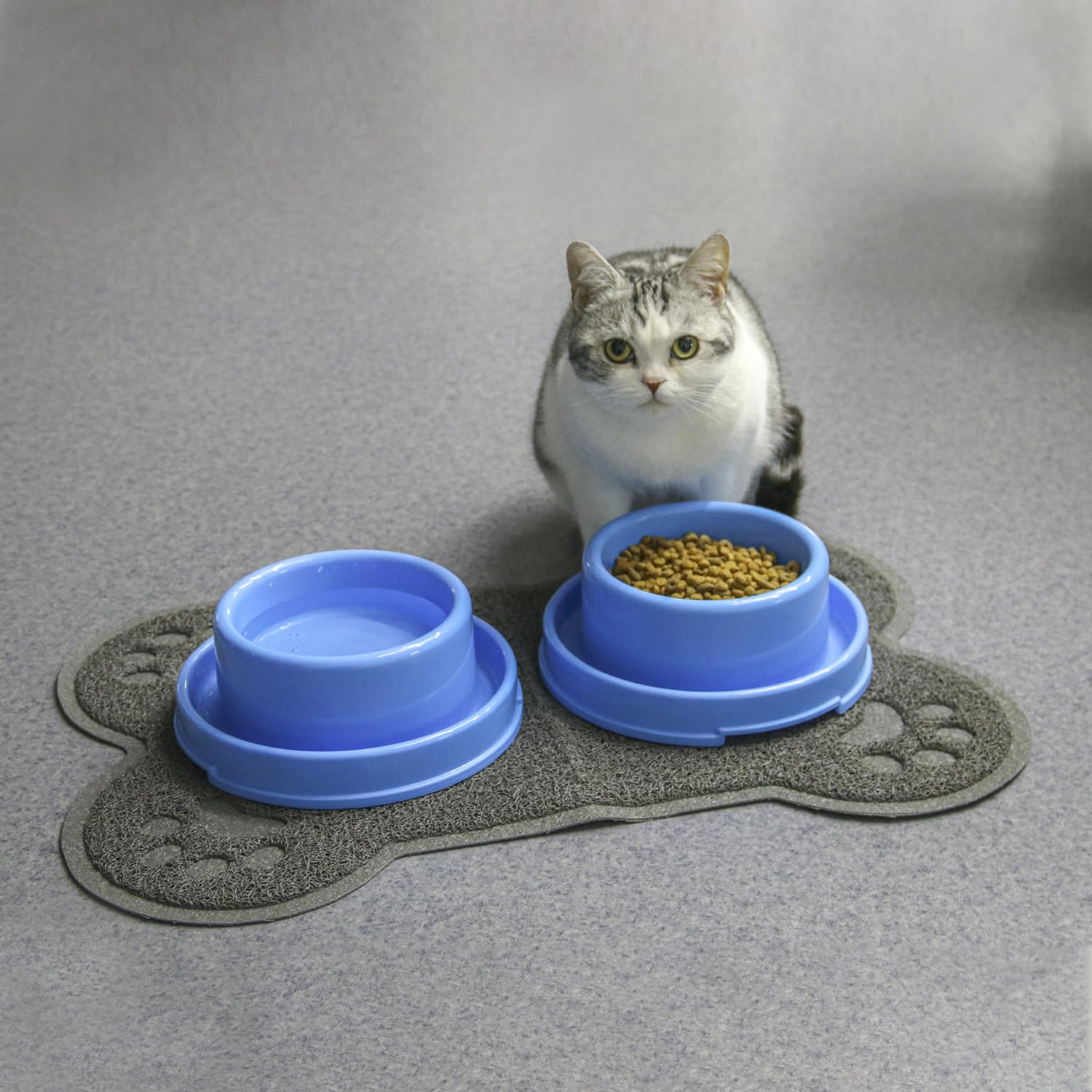 PetLike Ants Away Dog Bowls Pet Food Bowls, No Spill Cat Food Bowl Water Food Feeder Pet Dishes for Cat Puppies Small Medium Dog