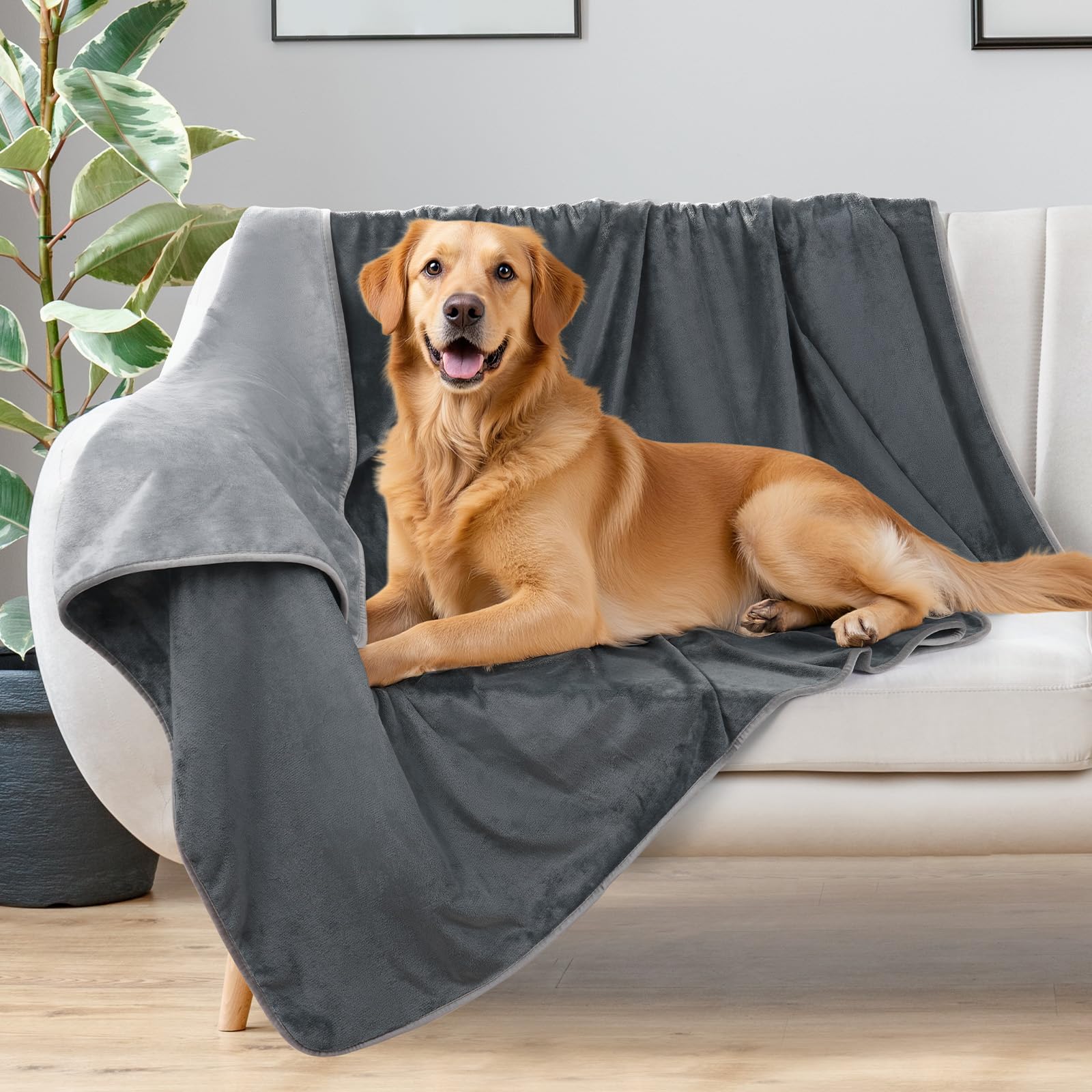 LOOBANI Waterproof Dog Blanket - Reversible Flannel, 50" x 60", Grey, Liquid Proof Couch Cover for Medium Large Dogs