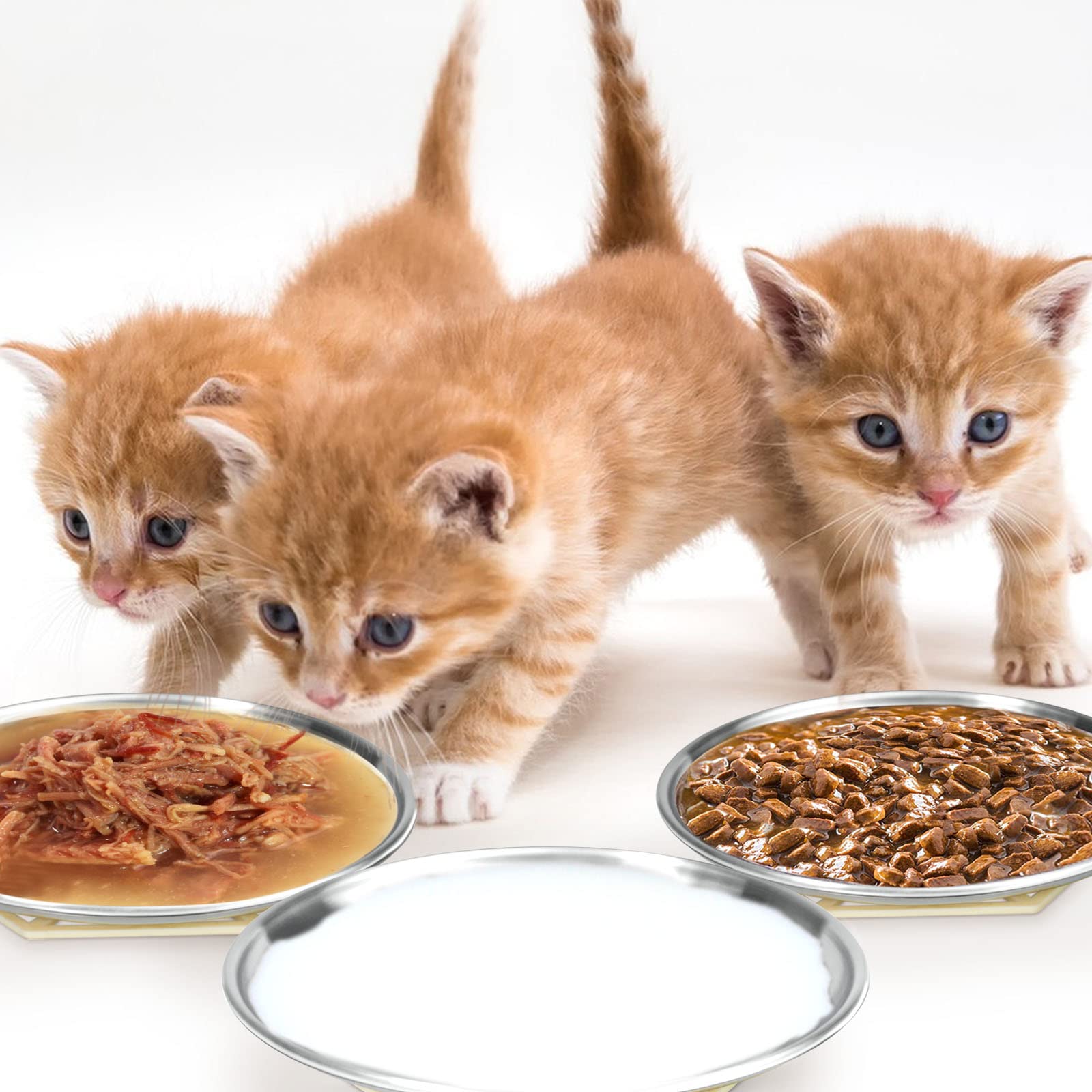 Stainless Steel Cat Dishes for Food and Water Bowls for Small and Medium Pets Relief of Whisker Fatigue -2 Sets Shallow Style