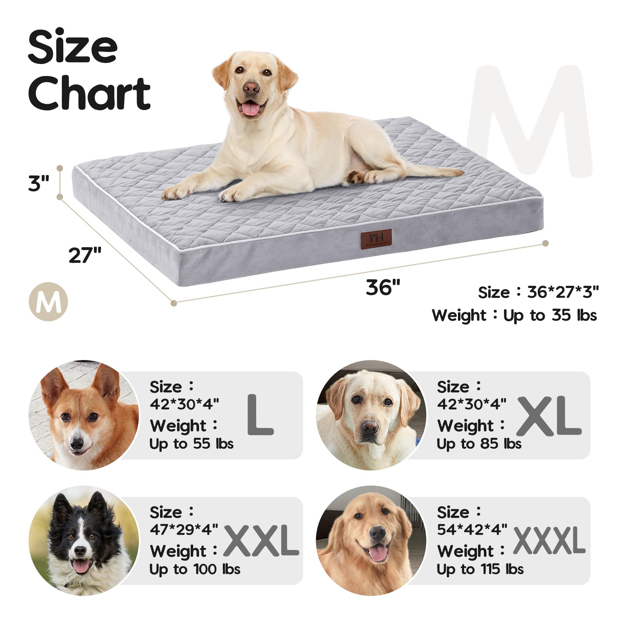 Orthopedic Dog Beds For Medium Large Dogs With Removable Washable Cover, Dog Crate Bed For Xxl Xl Large Medium Dogs, Velvet Plus