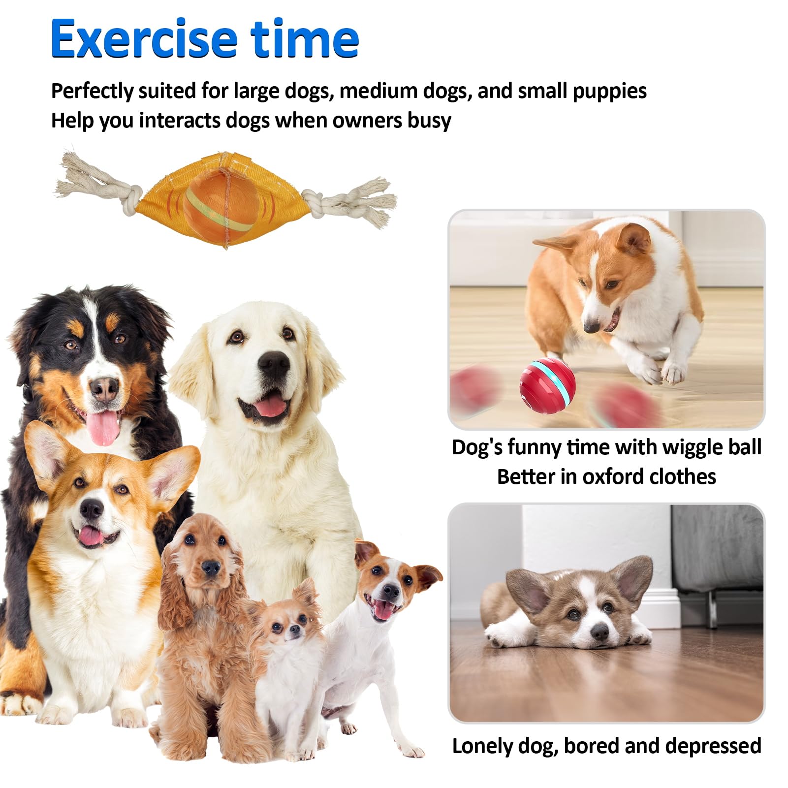 Bentopal Interactive Dog Toys With Motion Activated, Keep Dogs Busy
