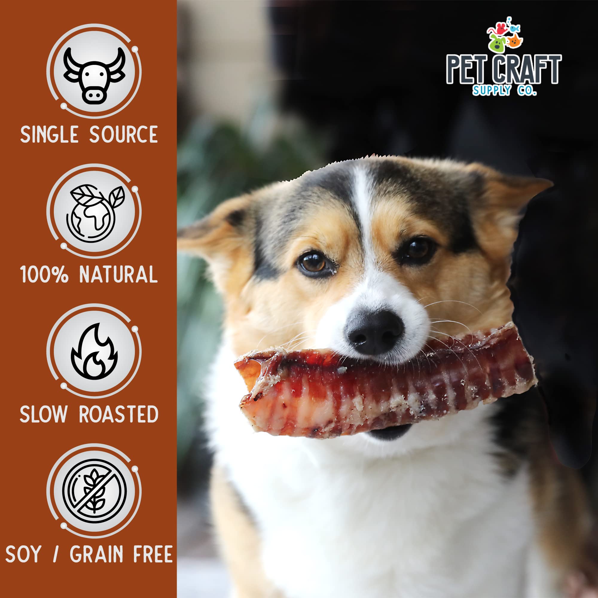 Pet Craft Supply All Natural Healthy Buffalo Trachea Bones Dog Chews Treats for Aggressive Chewers Long Lasting Rawhide Free Pre