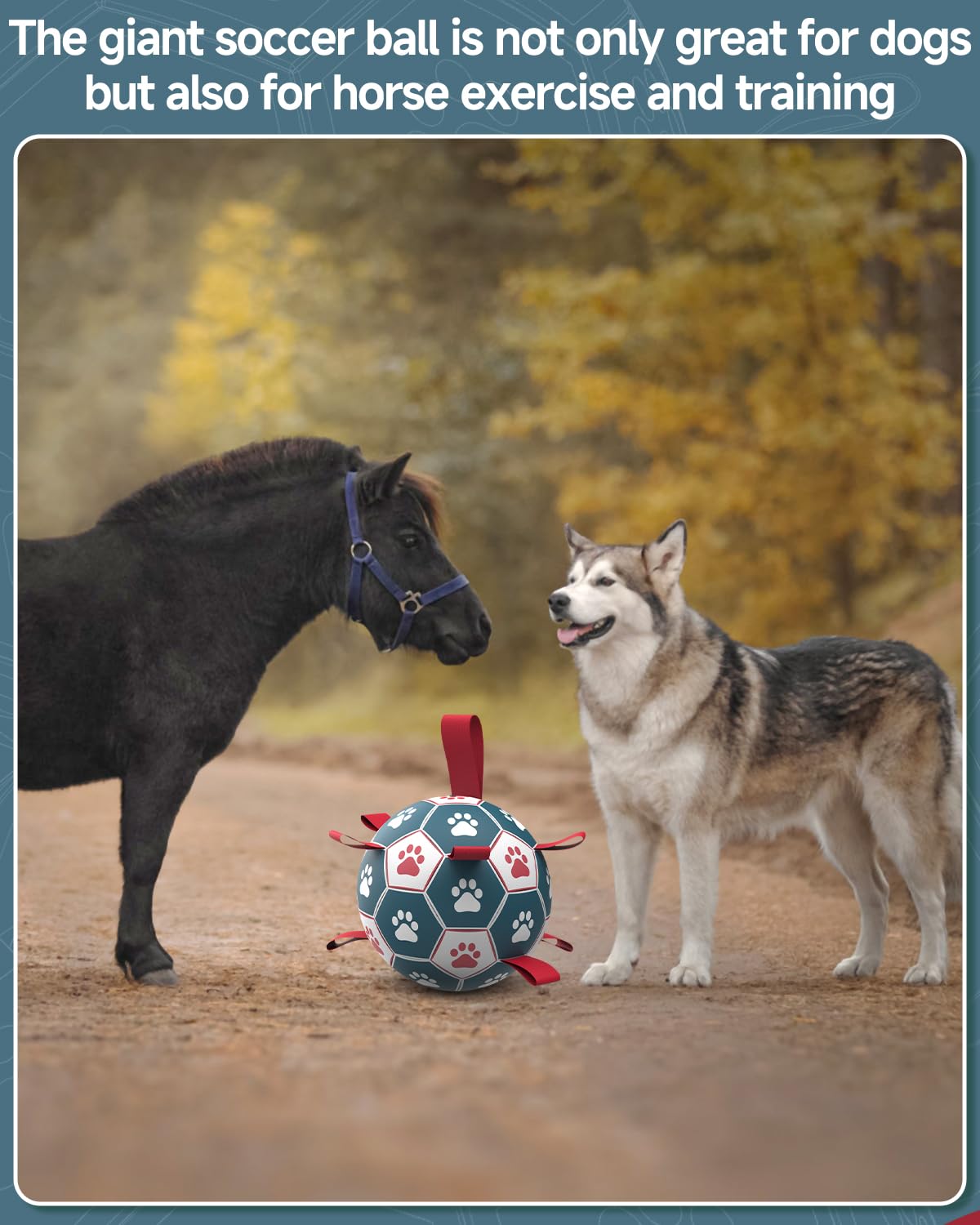Qdan Dog Toys Soccer Ball With Straps - Durable Dog Balls For Giant Extra Large Dogs, Outdoor Dog Toys, Dog Water Toy, Herding B
