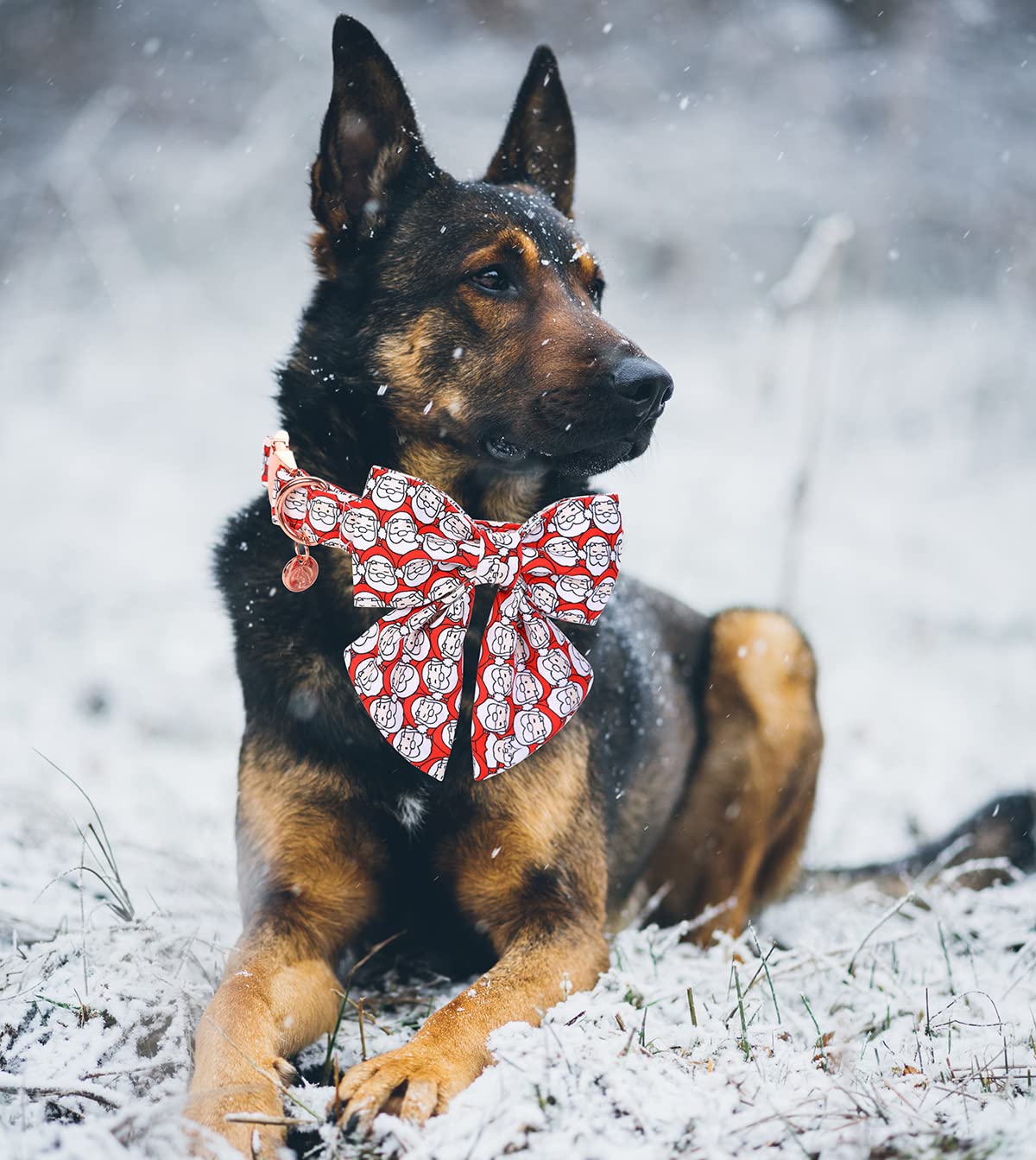 Dogwong Christmas Dog Collar Red Santa Claus Dog Collar With Bowtie For Small Medium Large Dog, Christmas Dog Gift