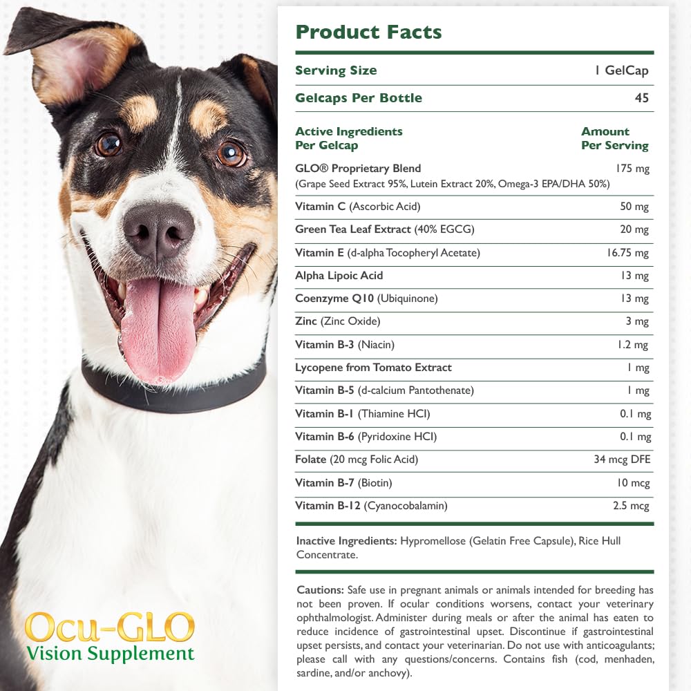 Ocu-GLO Vision Supplement for Small Dogs by Animal Necessity with Lutein, Omega-3 Fatty Acids, Grape Seed Extract and Antioxidan