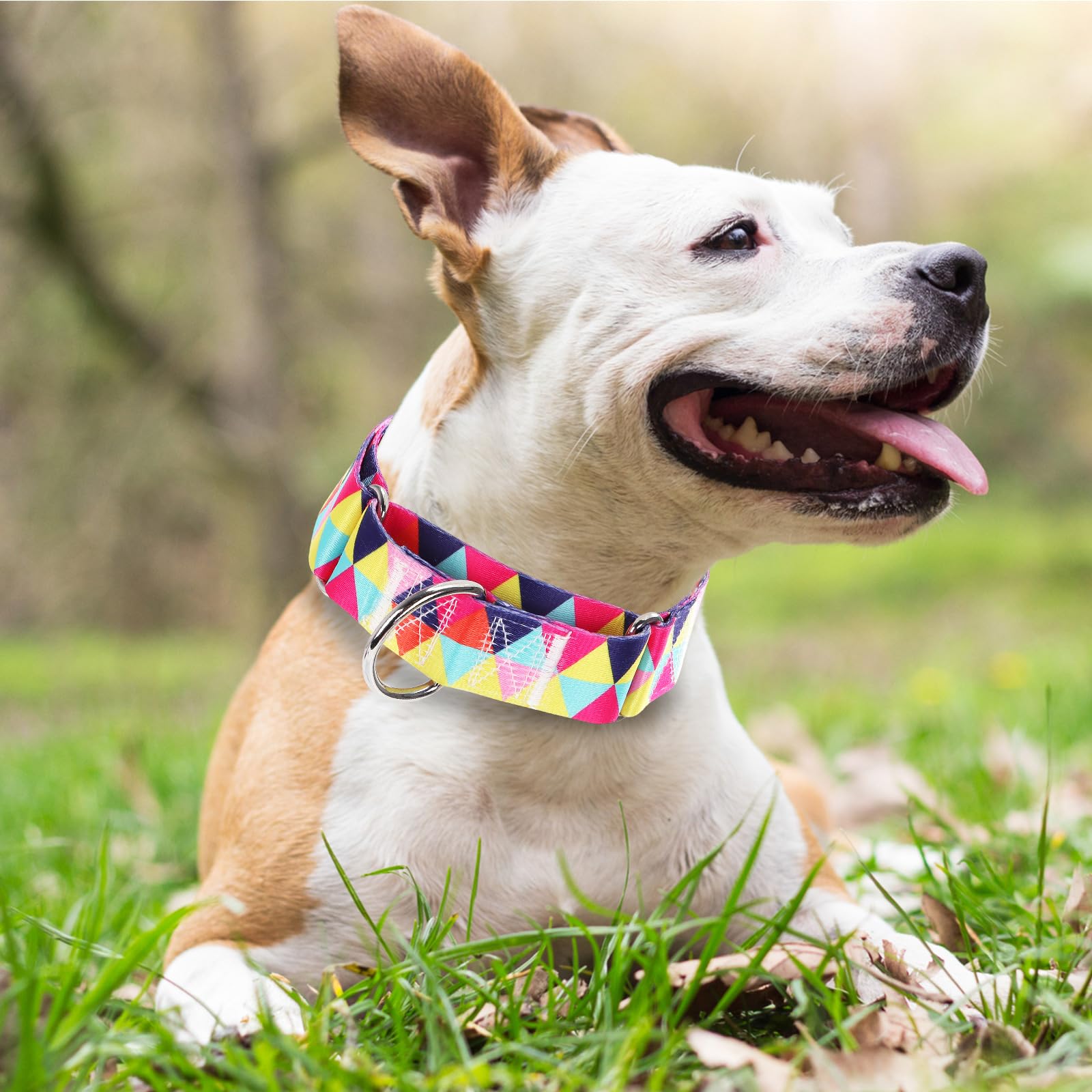 Wide Martingale Dog Collar - Heavy-Duty Escape-Proof Training Collar For Medium, Large & Xl Dogs | Big & Thick No Pull Adjustabl