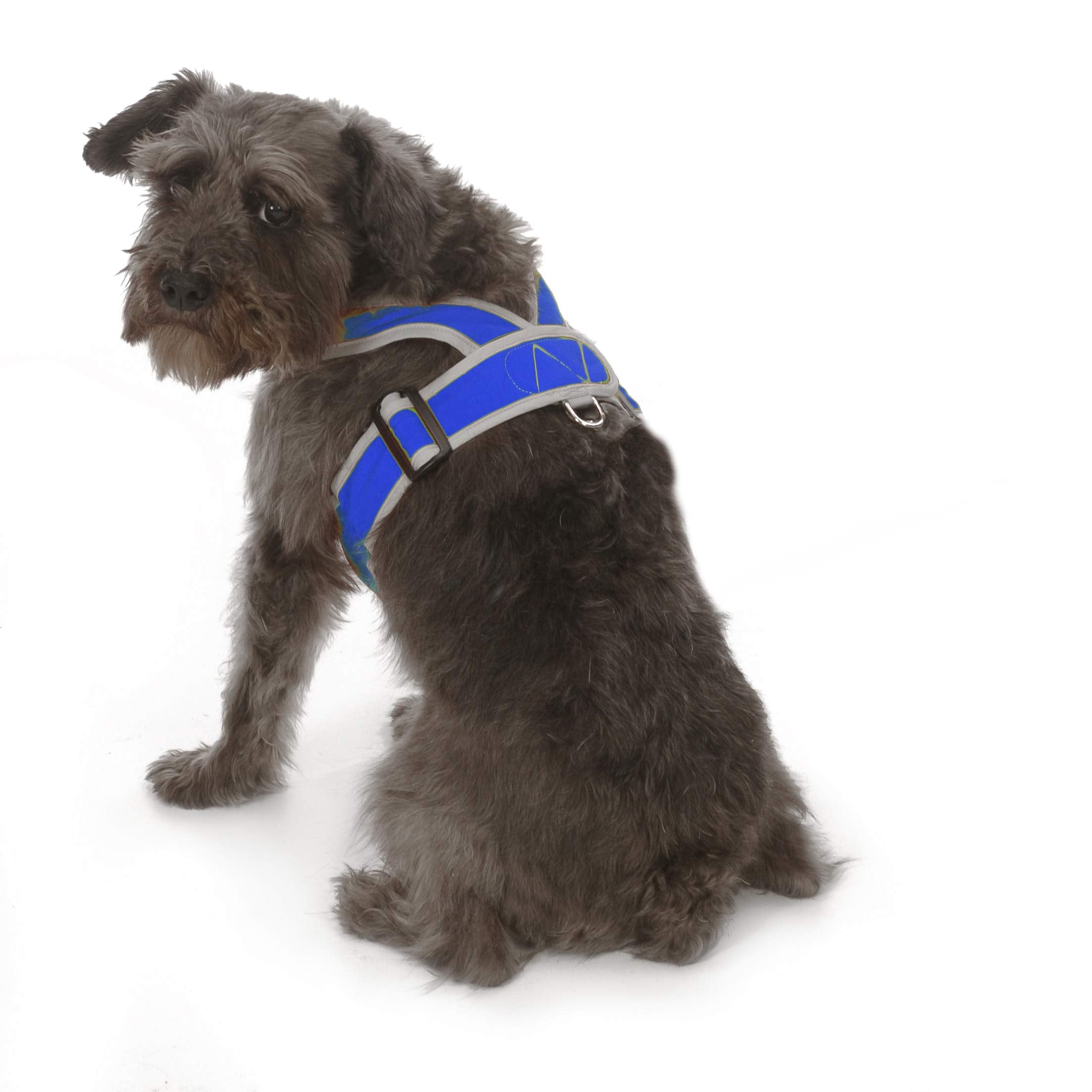 My Canine Kids Precision Fit Nylon Step-In Adjustable Dog Harness In Teacup To 40 Lbs Vest Easy On Adjustable Xxxsmall Toy Puppies To Large Soft Walking Doggy Wrap Vest (1101)(Small - Royal)