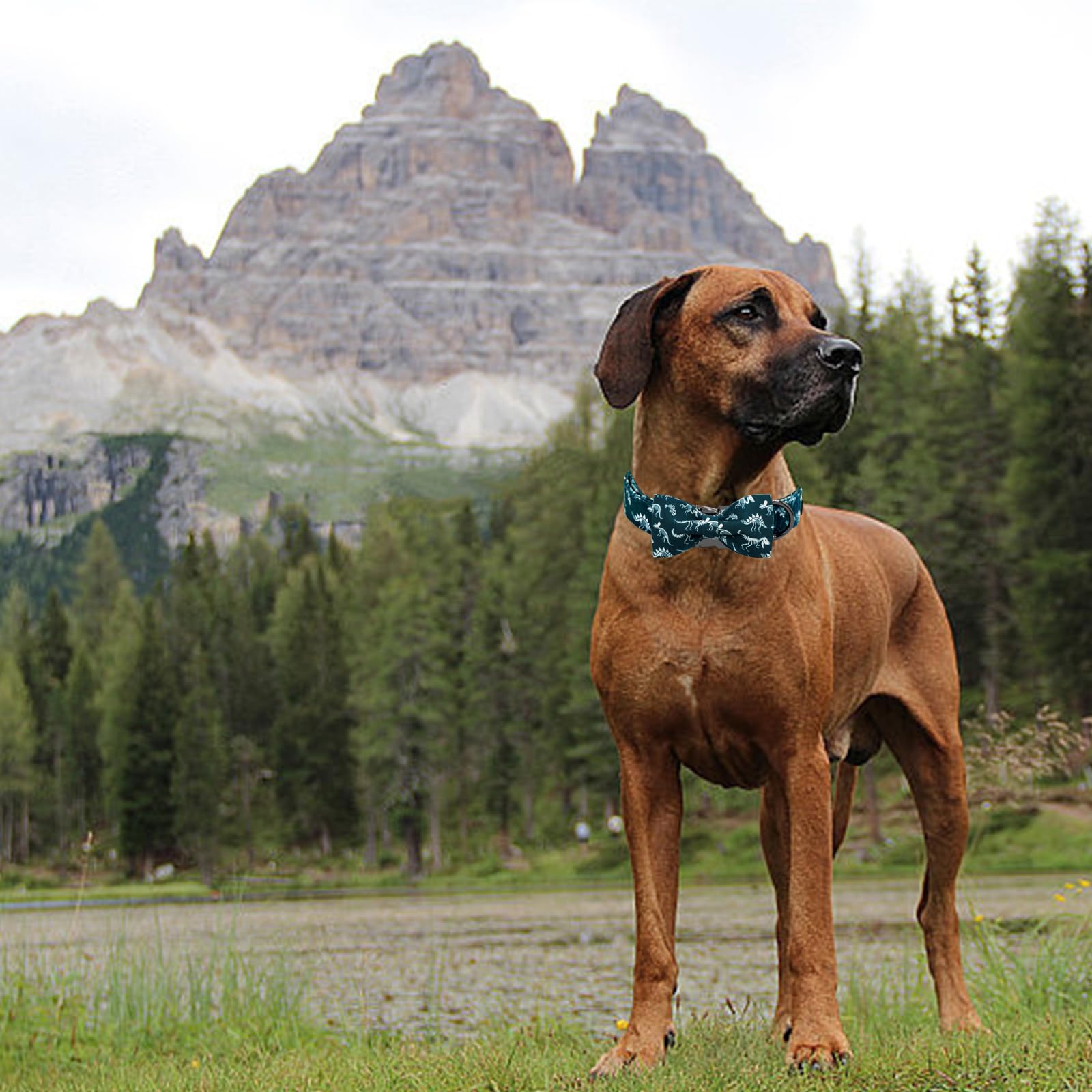 Elegant Little Tail Dog Collar, Dinosaurs Print Pet Collars With Bow Soft Cutton Boy Puppy Gift Adjustable Blue Bowtie Dog Colla