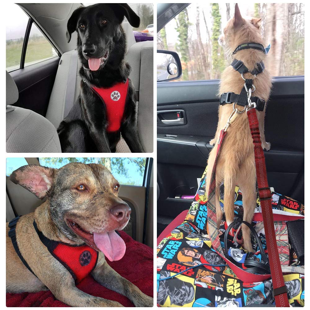 SlowTon Dog Seat Belt Harness - Adjustable Mesh Breathable Safety Tether for Small Medium Large Pets, XXX-Small, R-Red Seatbelt