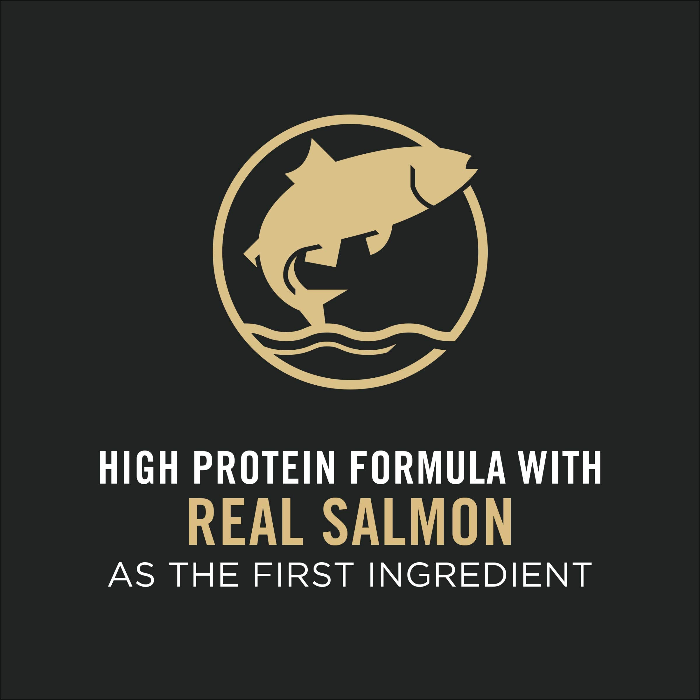 Purina Pro Plan High Protein Cat Food With Probiotics for Cats, Salmon and Rice Formula - 3.5 lb. Bag