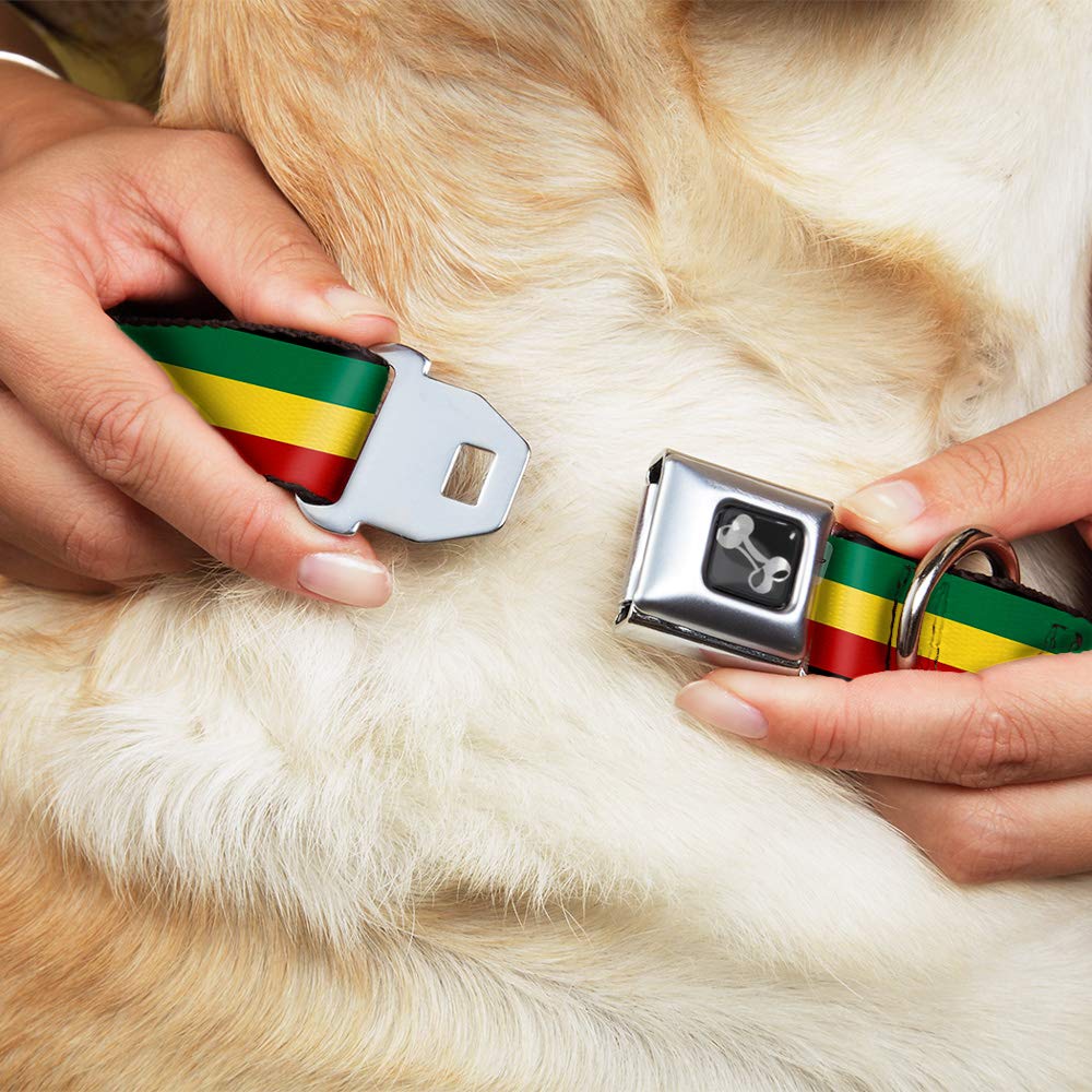 Buckle-Down Seatbelt Buckle Dog Collar - Rasta - 1' Wide - Fits 15-26' Neck - Large