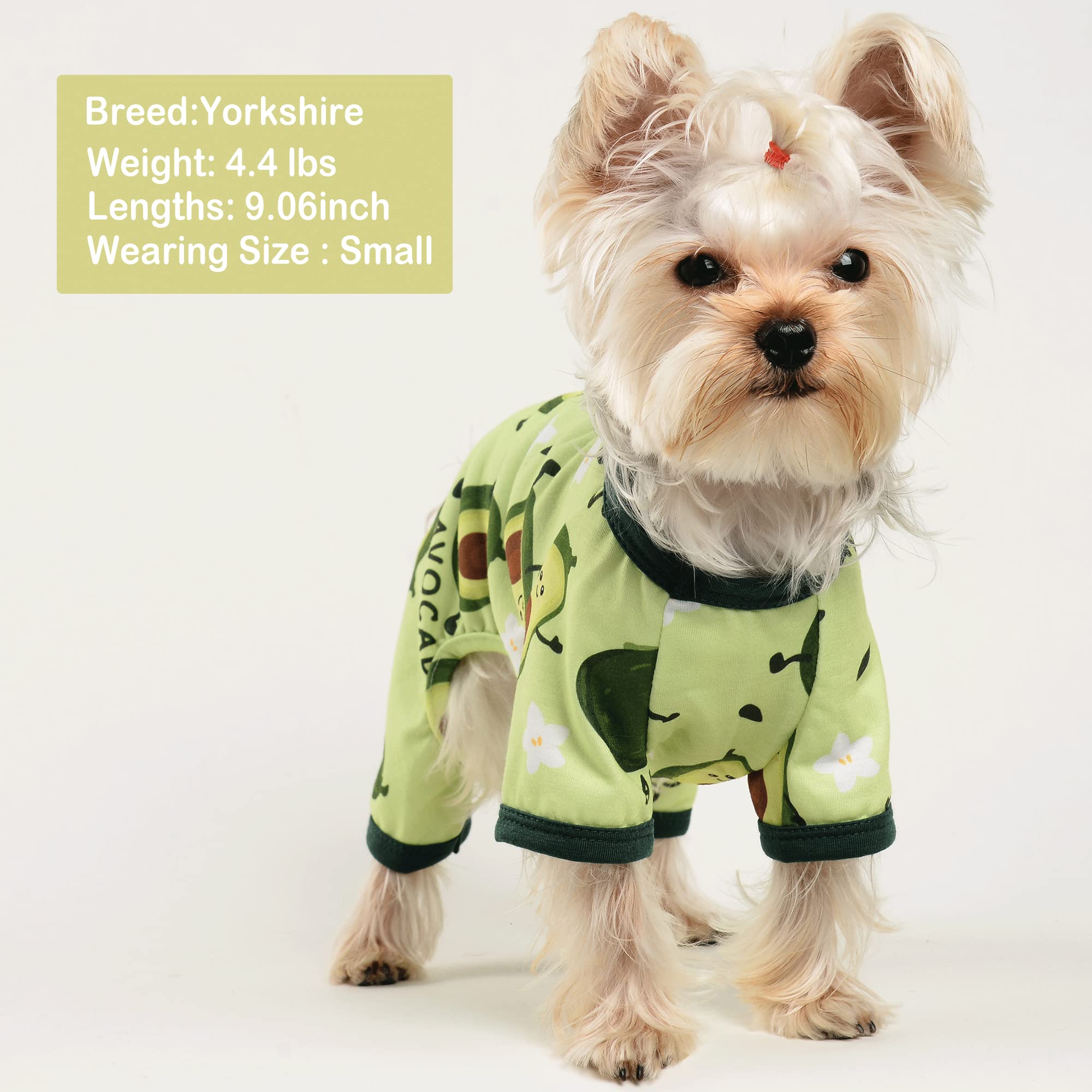 Yikeyo Dog Pajamas for Small Dogs, Soft Thin Pjs Jammies Cat Doggie, Summer Pet Cute Puppy Clothes Outfits Dogs Boy Girl(Avocado,XXL) -Like New