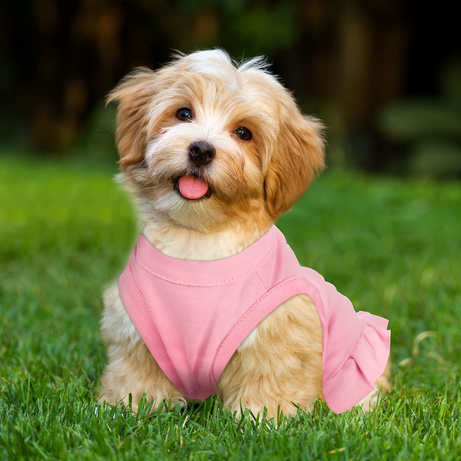 6 Pieces Dog Dresses Dog Shirt Skirt Dog Sleeveless Dress Breathable Pet Shirts With Ruffles Dog Sundress Dog Outfits For Dogs And Cats (Cute Style, S Size)