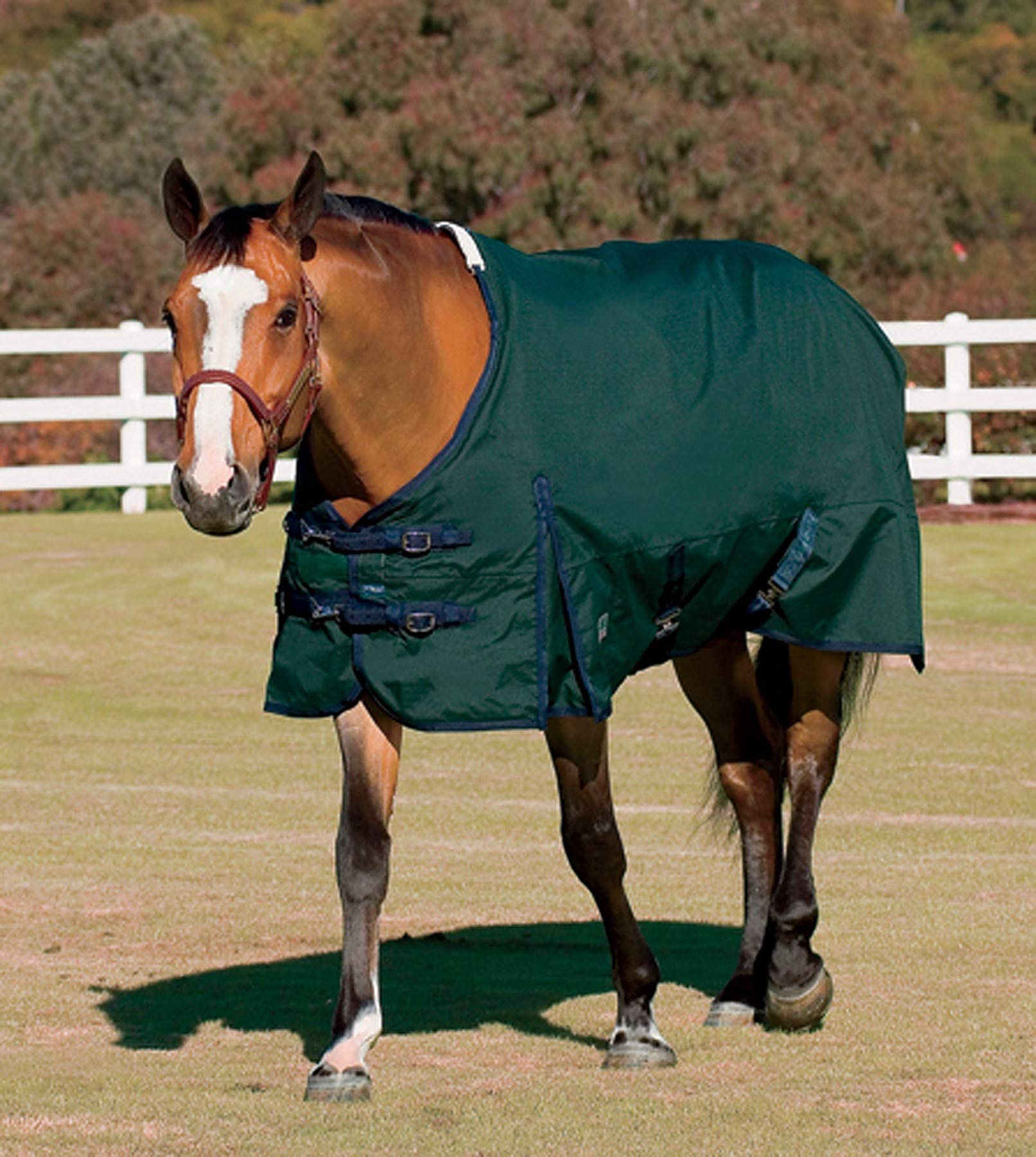 Rider'S International Supreme Turnout Sheet, Color: Hunter/Navy, Size: 84
