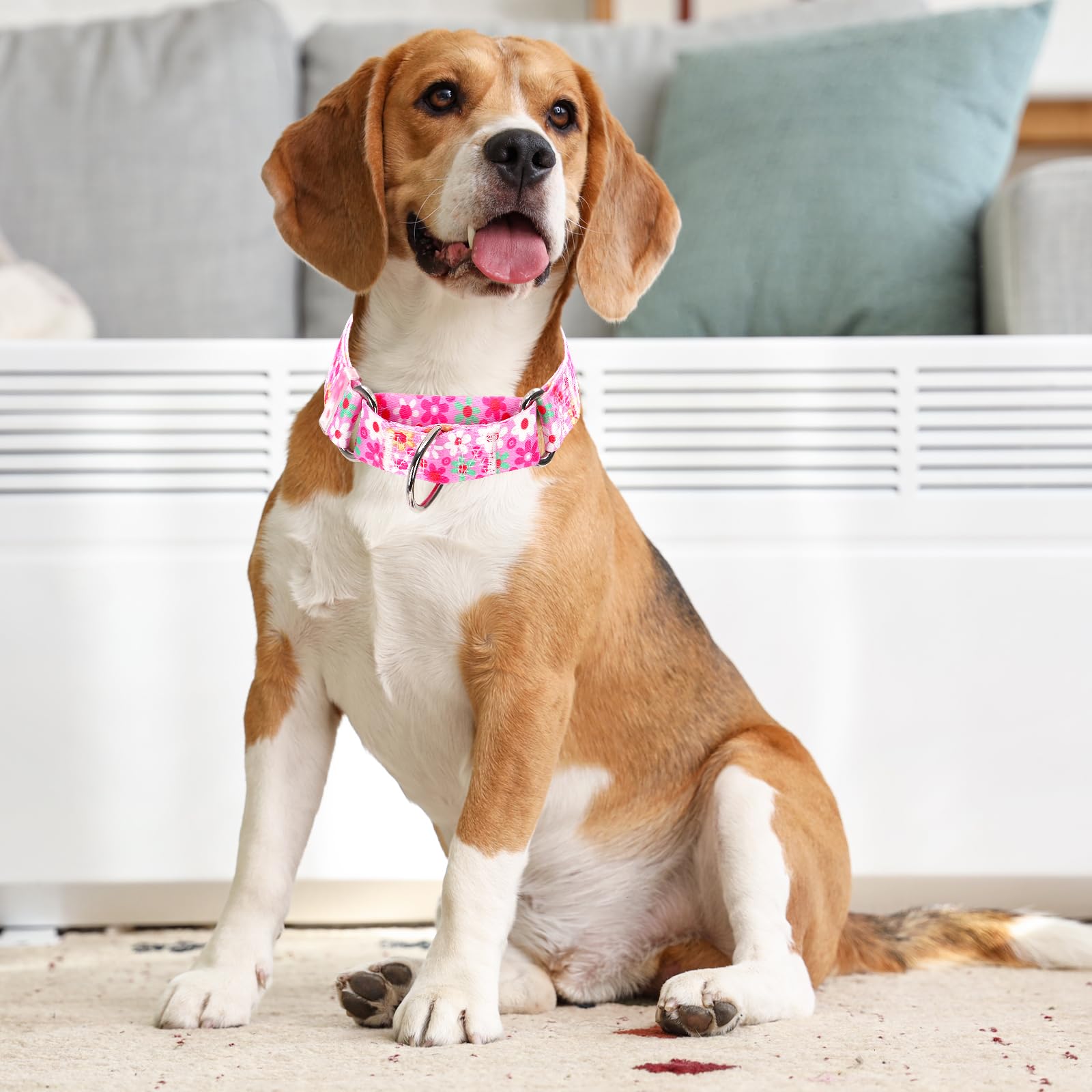 Martingale Collar For Dogs, Pink Flowers Martingale Collar For Girl Female Dogs Large Medium And Small, Adjustable Premium No Sl