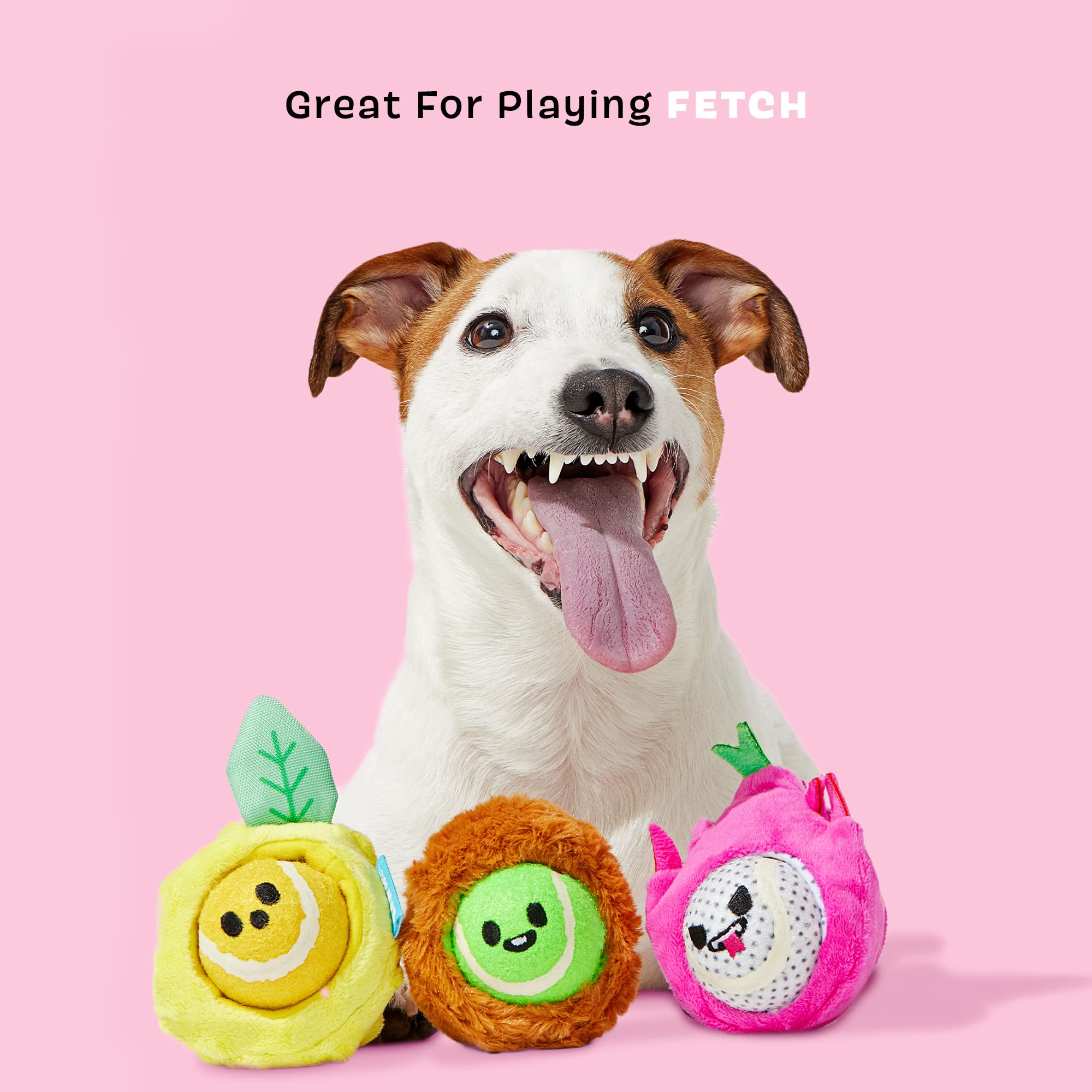 Barkbox Dog Toys - Fruity Cutie Tropical Trio Squeaker Ball Interactive Chew Toys - Durable & Tough Tennis Balls, Training, Exer