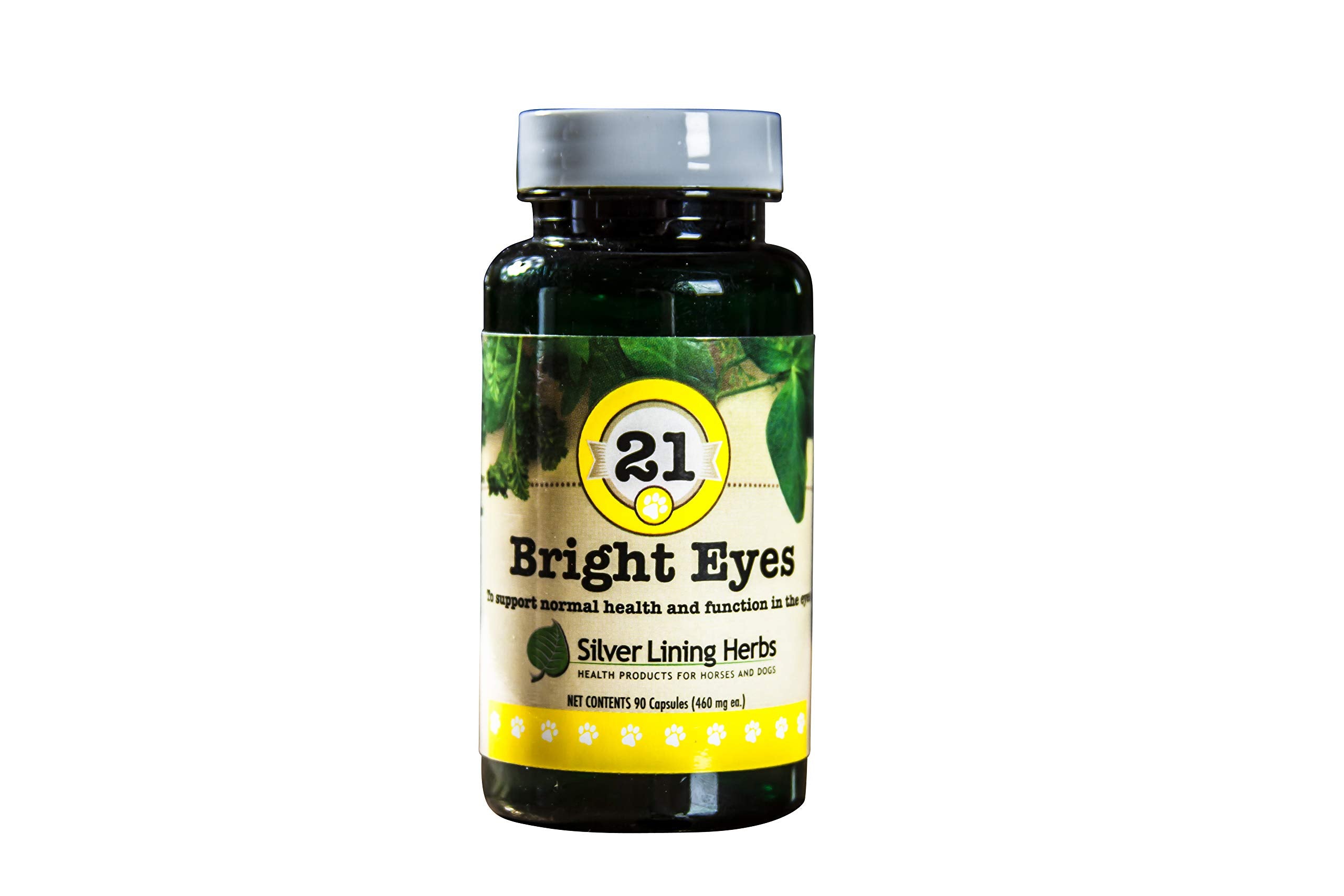 #21 BRIGHT EYES