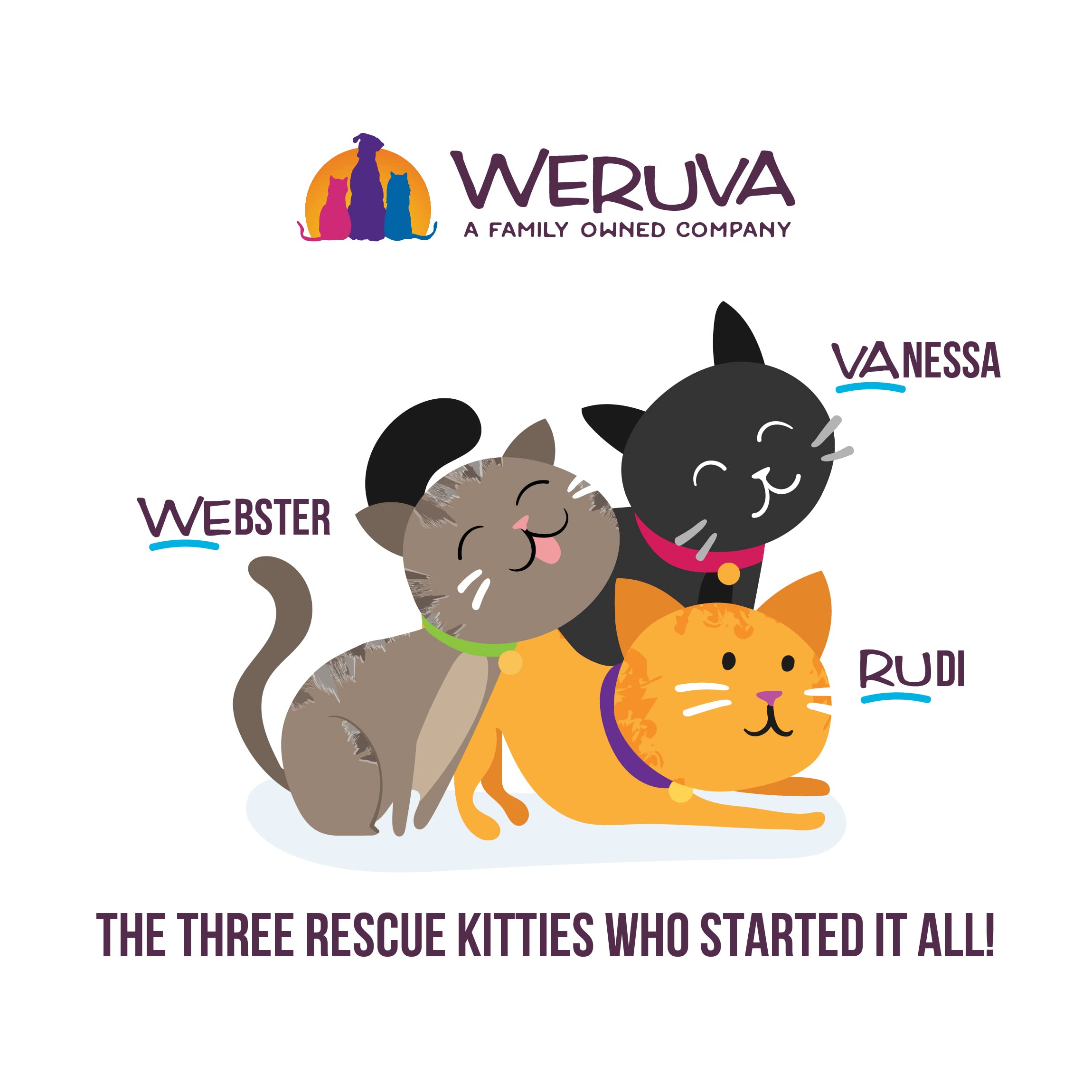 Weruva Classic Cat Pat  , Press Your Dinner with Chicken, 3oz Can (Pack of 12)
