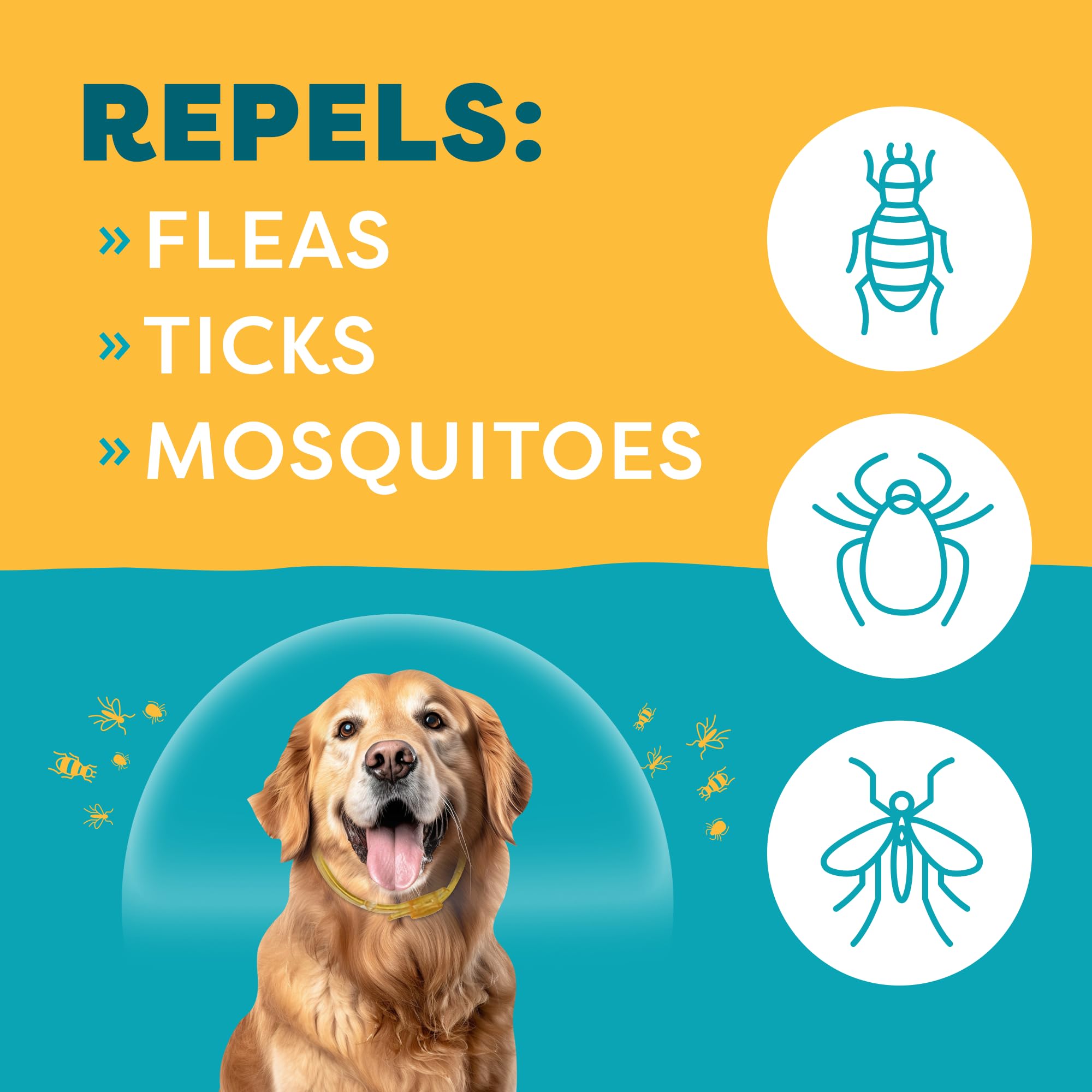 Only Natural Pet EasyDefense Flea & Tick Dog Collar - Canine Flea Control Collars - One Size Fits All - Pet Care That Protects u