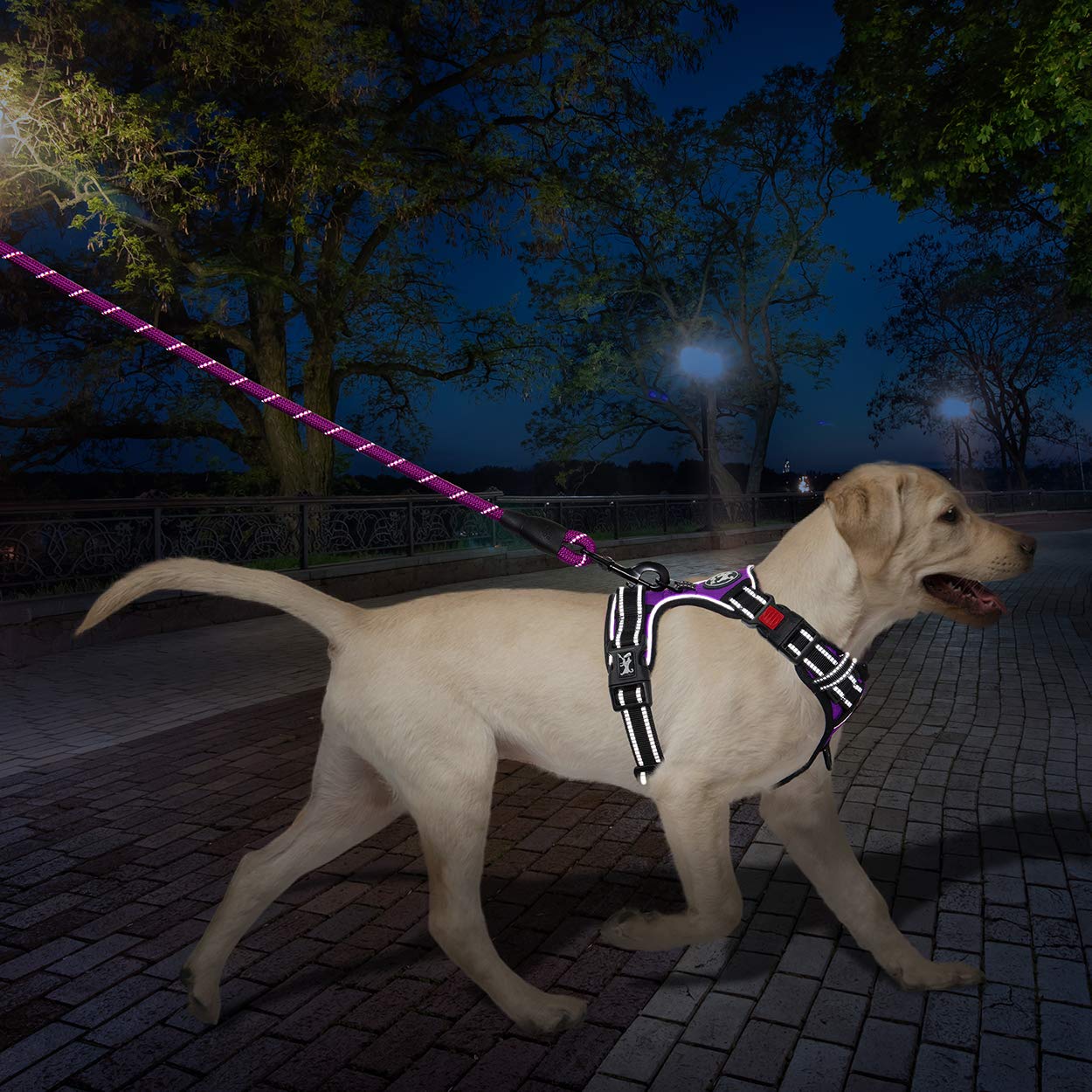 Poypet Dog Harness And Leash Combo, Escape Proof No Pull Vest Harness, With 5 Feet Leash, Reflective Adjustable Soft Padded Pet Harness With Handle For Small To Large Dogs(Purple,S)