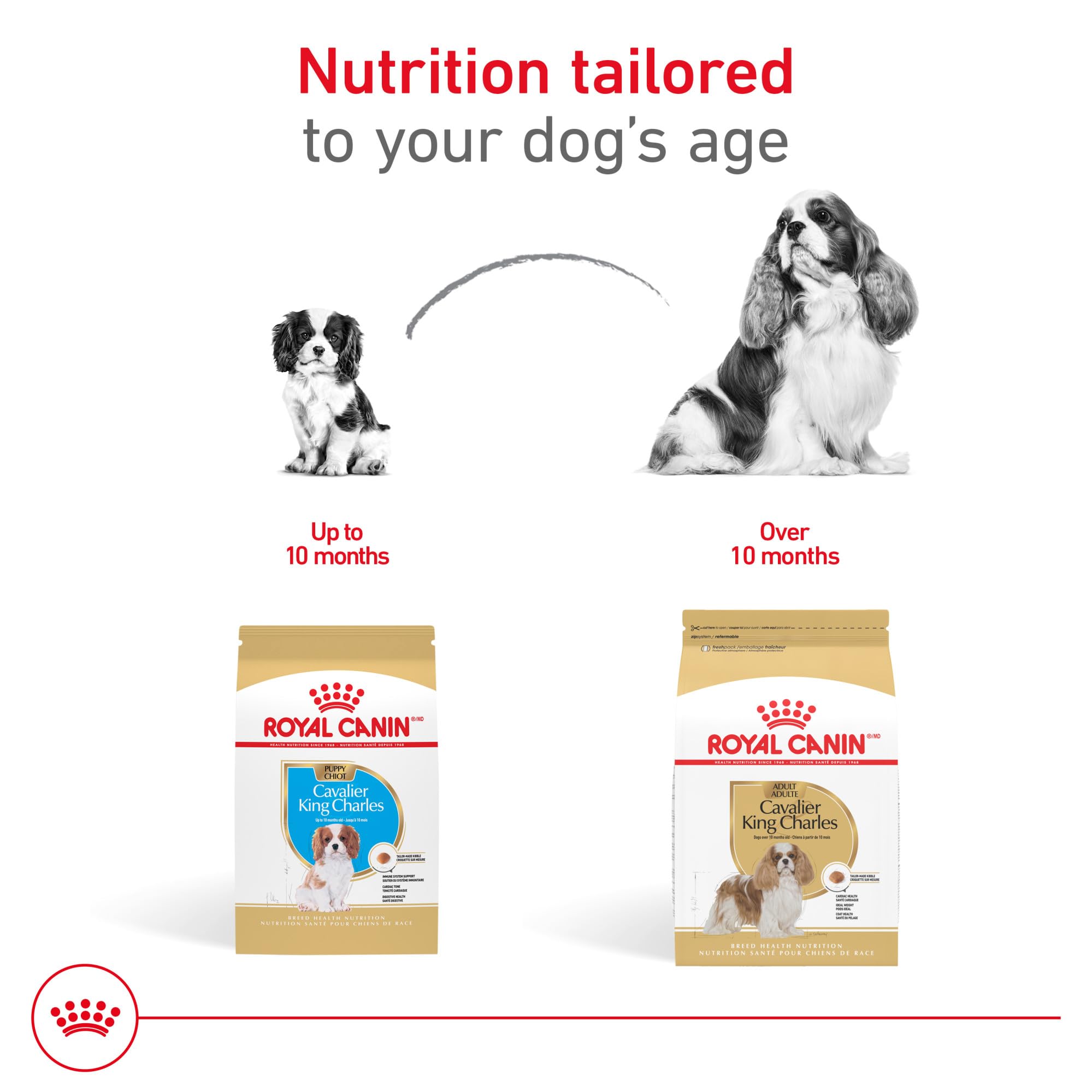Royal Canin Cavalier King Charles Spaniel Adult Breed Specific Dry Dog Food, 10 lb bag