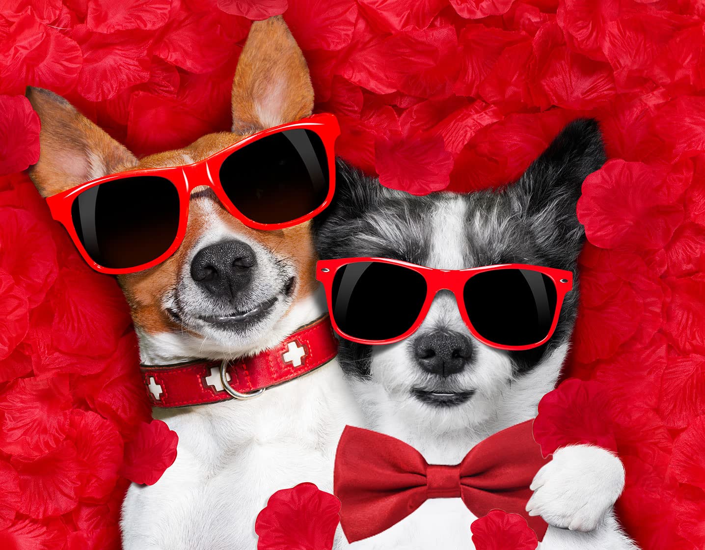 Amajiji® Formal Dog Bow Ties For Medium & Large Dogs (D114 100% Polyester) (Dark Red)