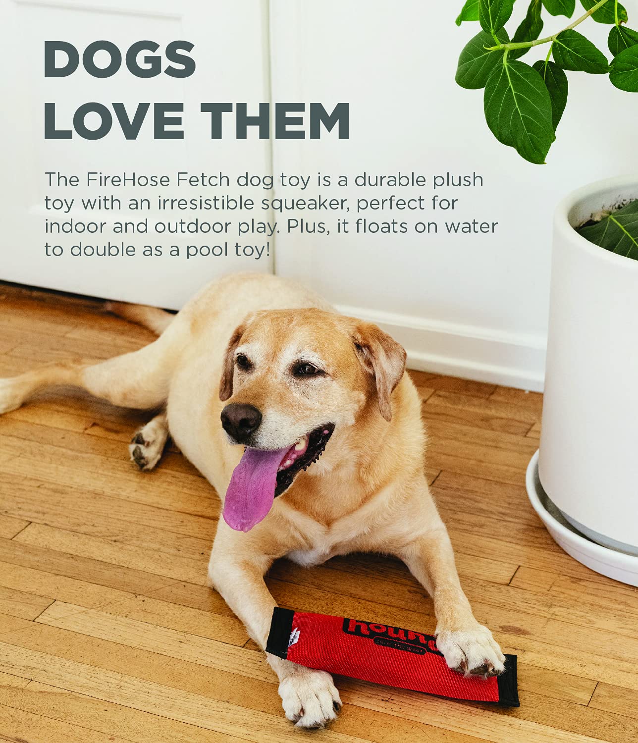 Outward Hound Firehose Fetch Dog Toy, Medium