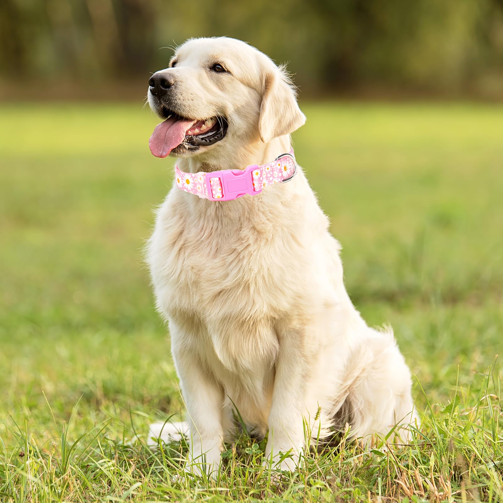 Girl Dog Collars For Large Dogs,Female Dog Collars With Pink Daisy Flowers, Adjustable Comfy Soft Pet Collar With Safety Buckle