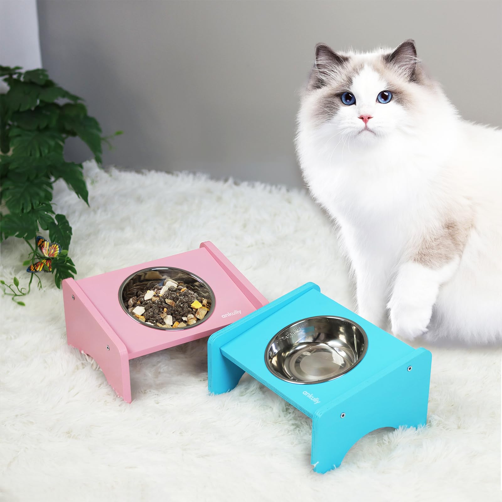 Elevated Cat Bowls,2 Stainless Steel Pet Food Water Feeder,15Tilted Raised Pet Dish, Slanted Dog Bowl with Wood Stand for Kitty