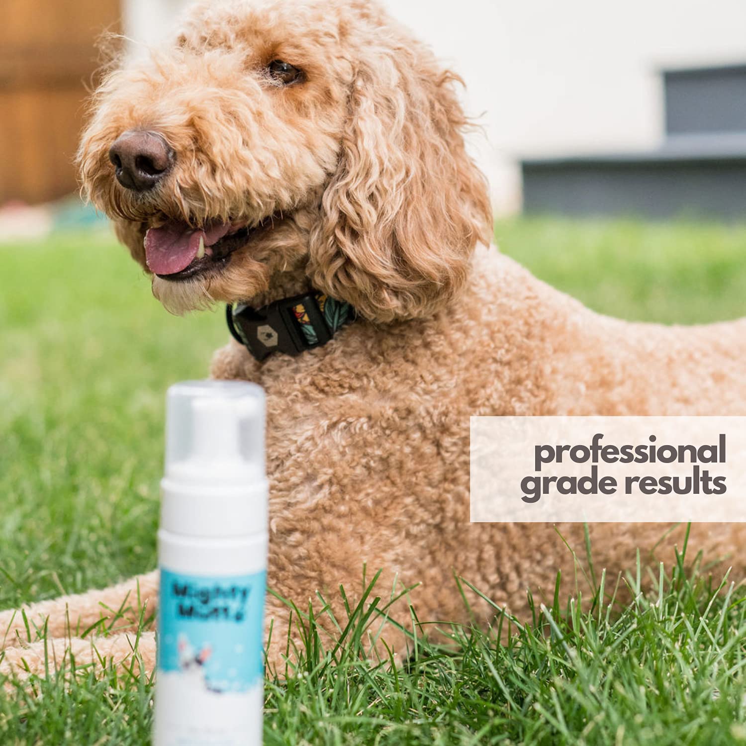 Mighty Mutt Hypoallergenic Waterless Shampoo for Dogs | Dry Shampoo for Dogs | Waterless Foam No Rinse | Anti-Itch, Soothing and