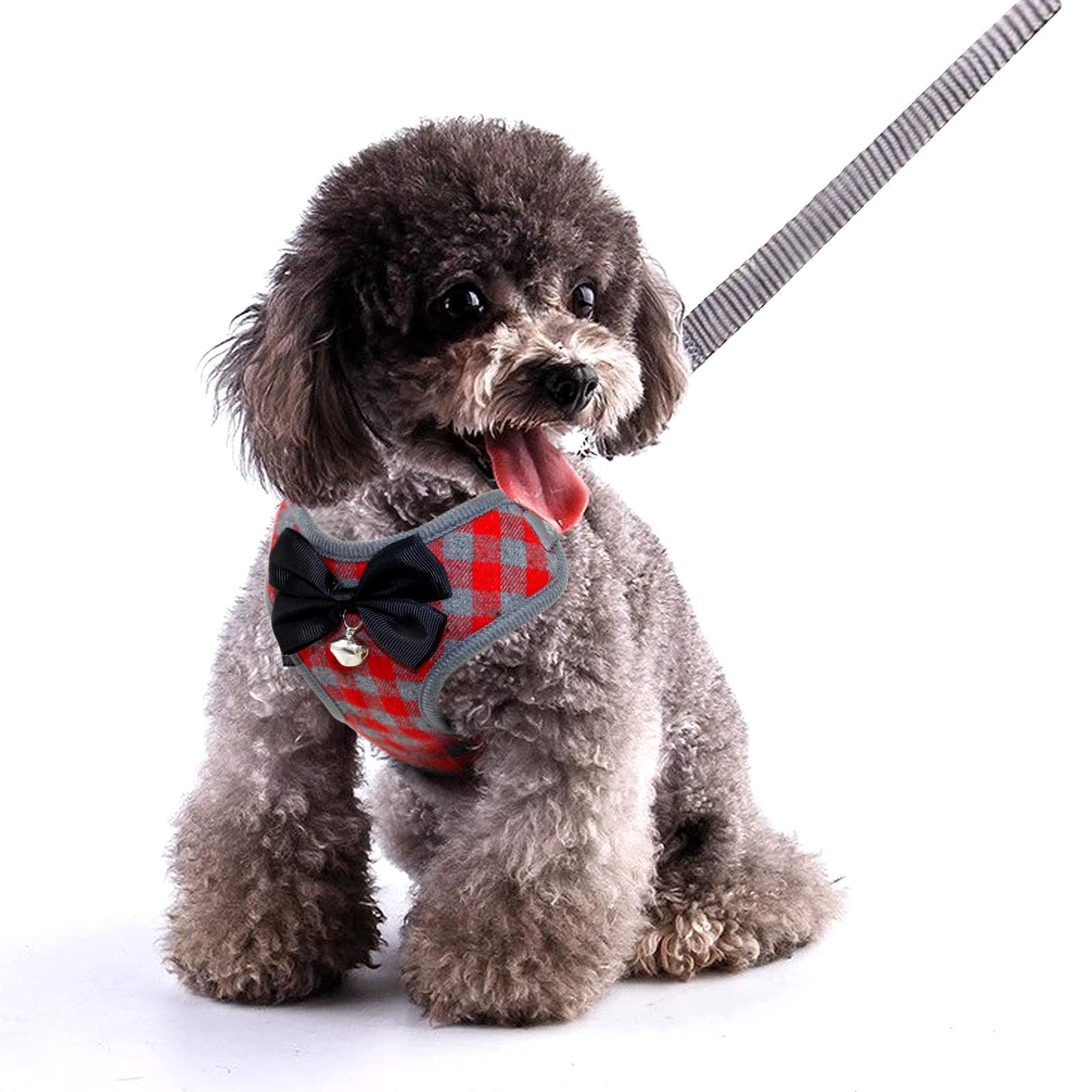 Rypet Small Dog Harness And Leash Set - No Pull Pet Harness With Soft Mesh Nylon Vest For Small Dogs And Cats Red L